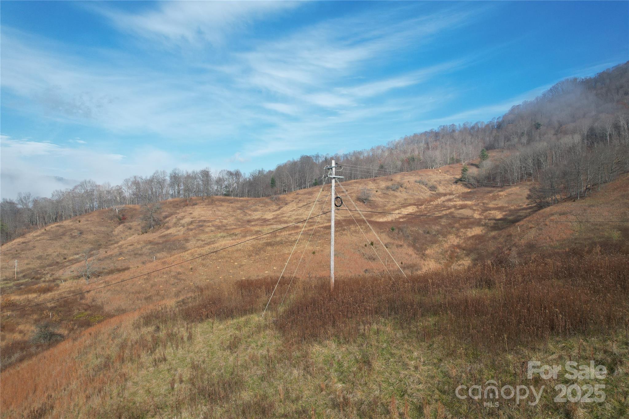 385 Fork Mountain Road Property Photo 18