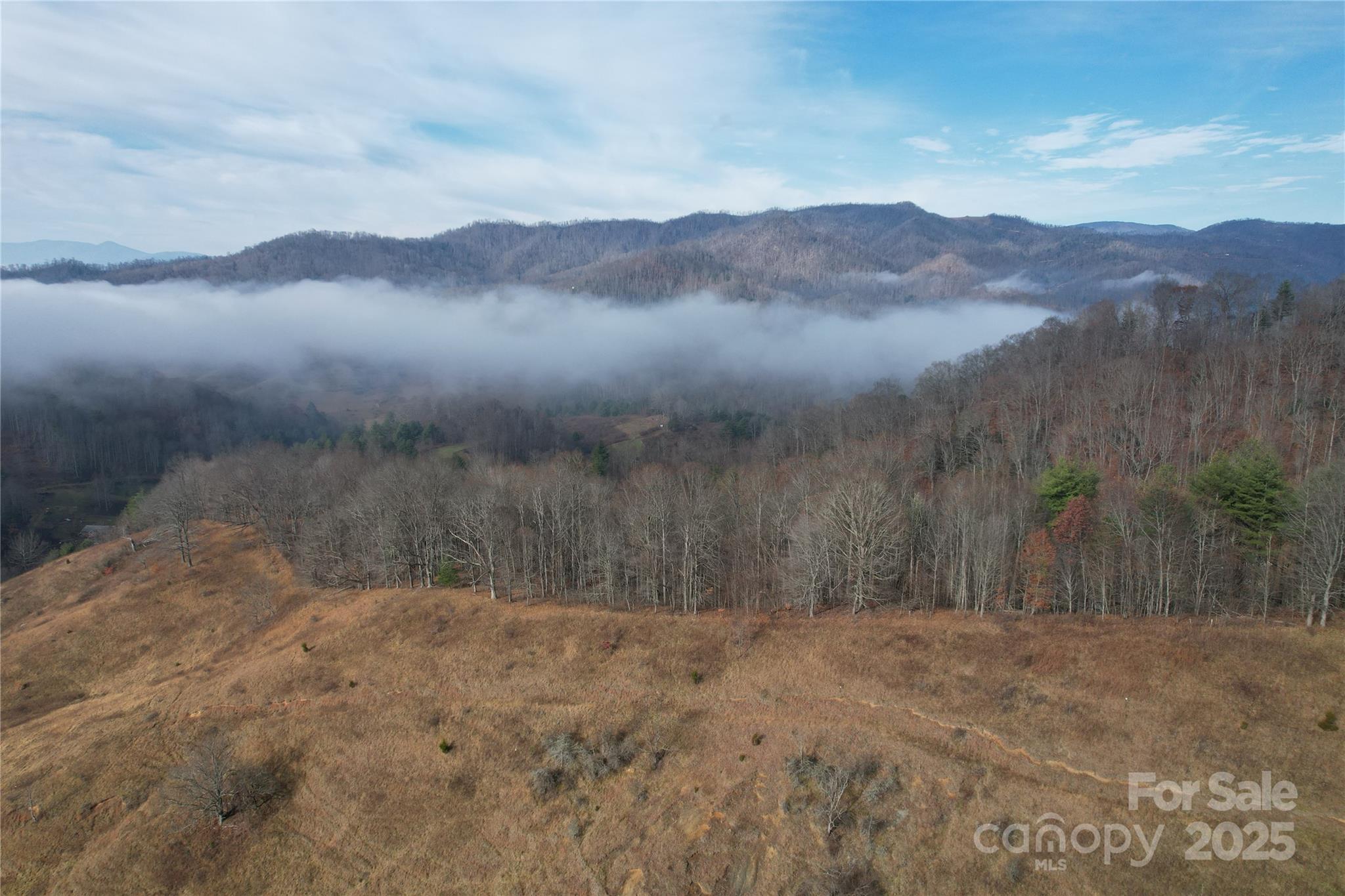 385 Fork Mountain Road Property Photo 19