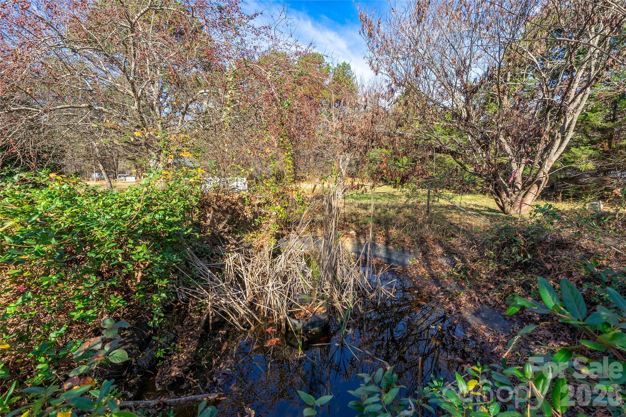228 Brumley Road Property Photo 35