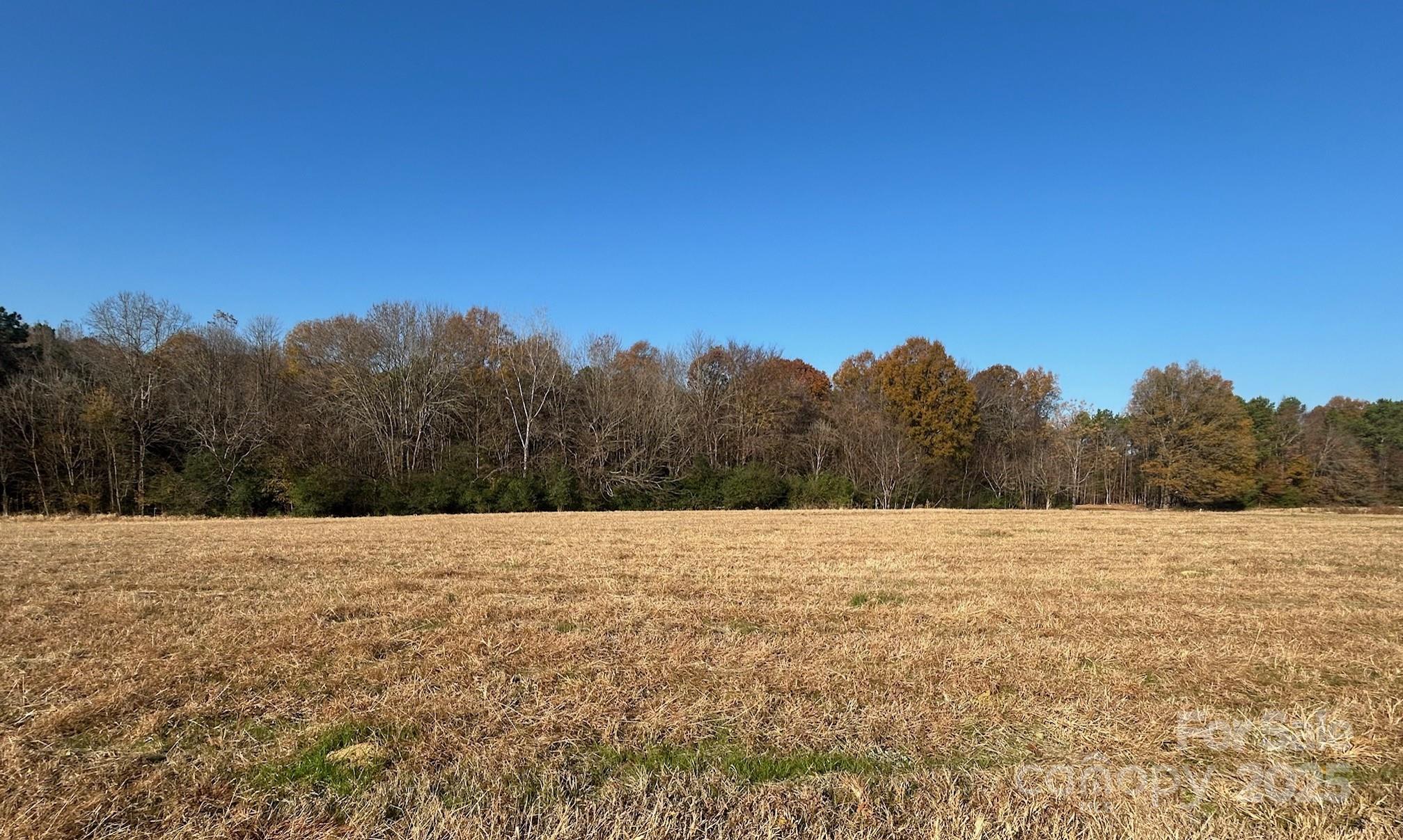 224 Gulledge Parker Road Property Photo 3