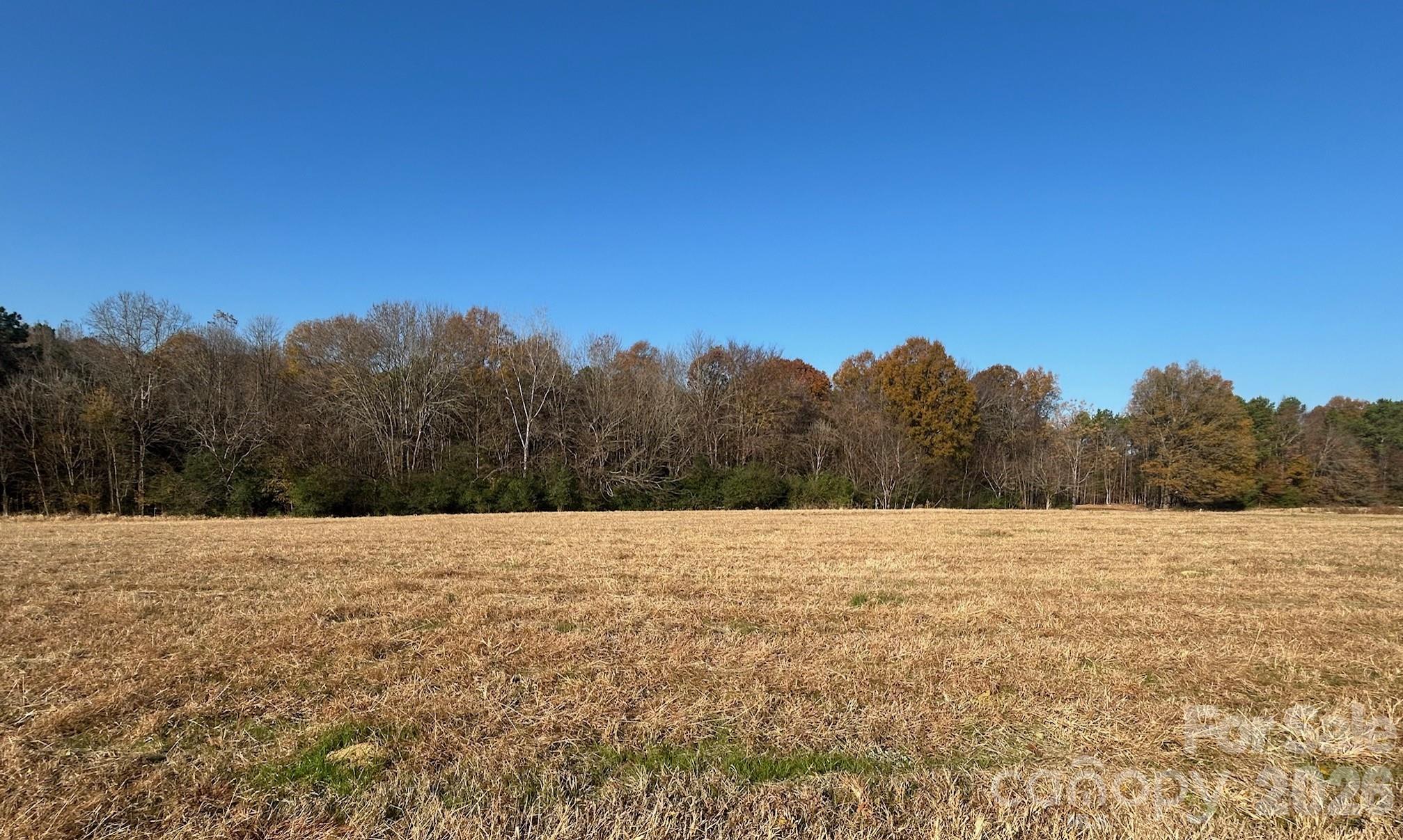 224 Gulledge Parker Road Property Photo 14