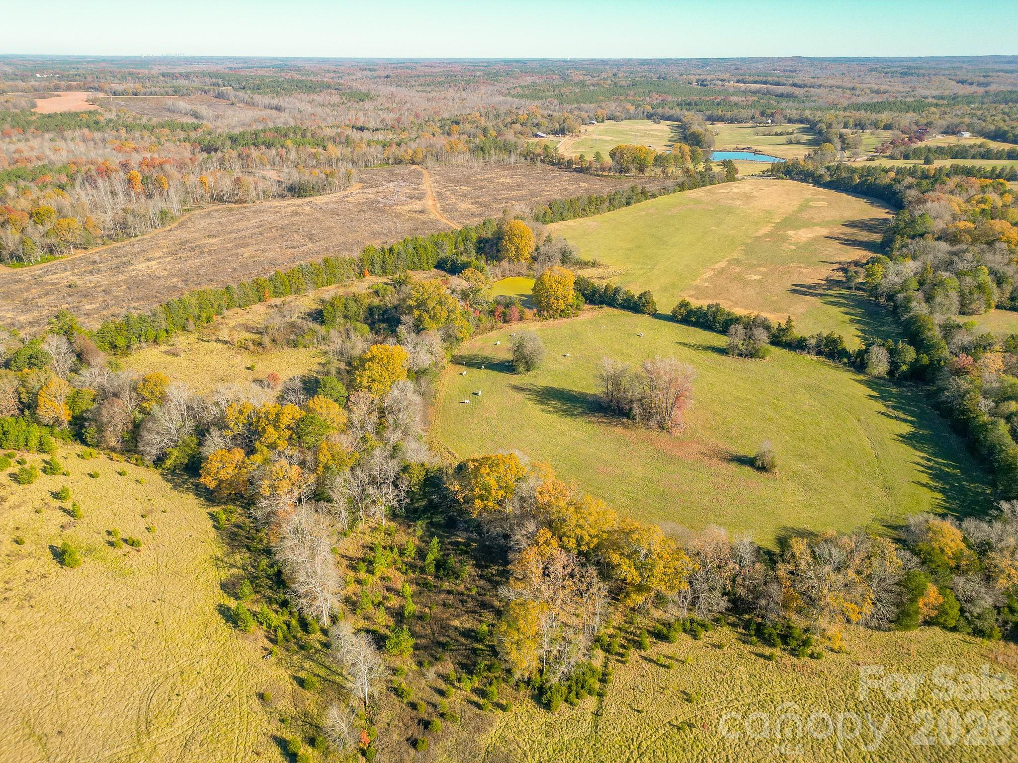 1049 Culp Ferguson Road Property Photo 1