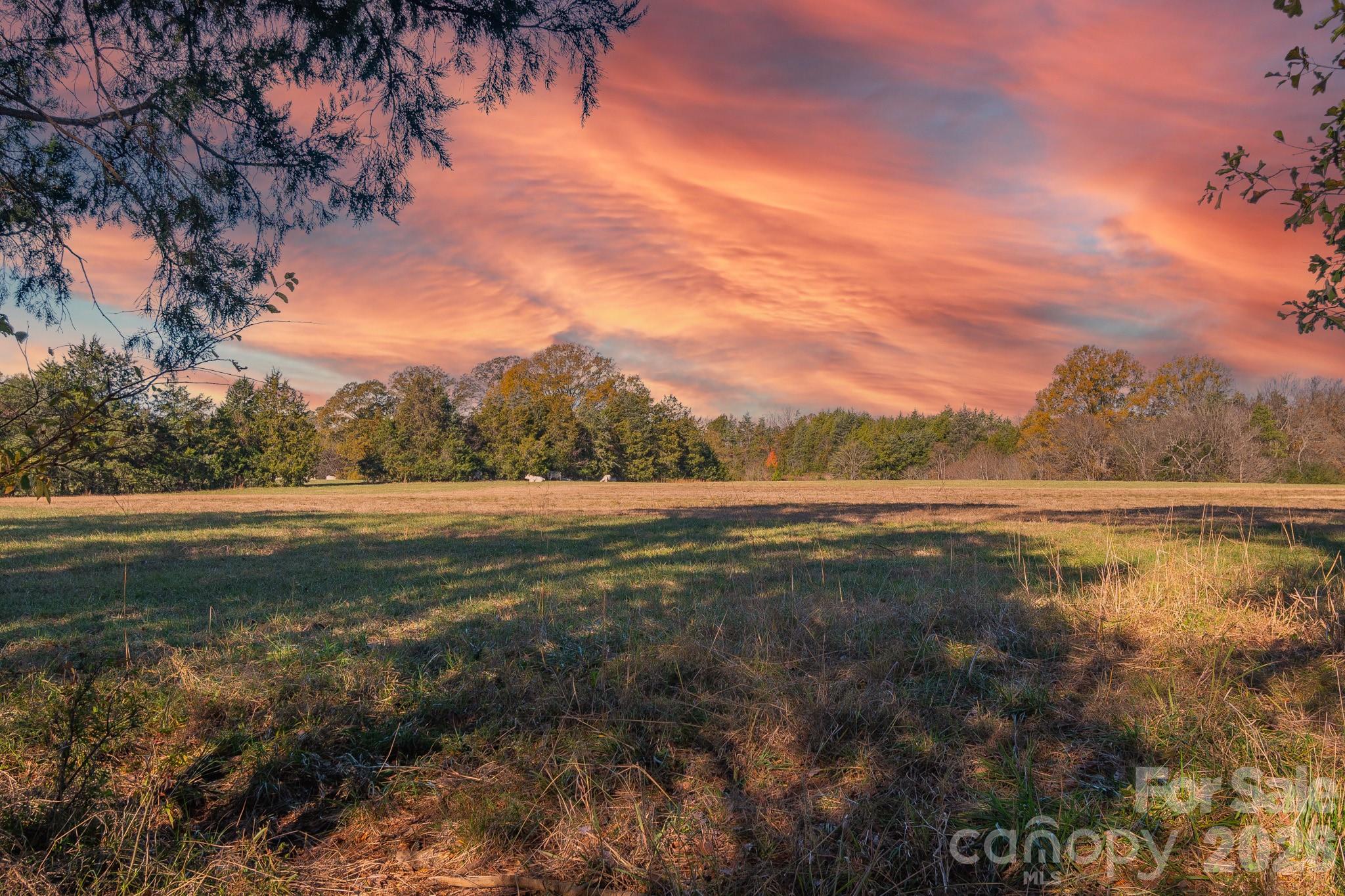 1049 Culp Ferguson Road Property Photo 4