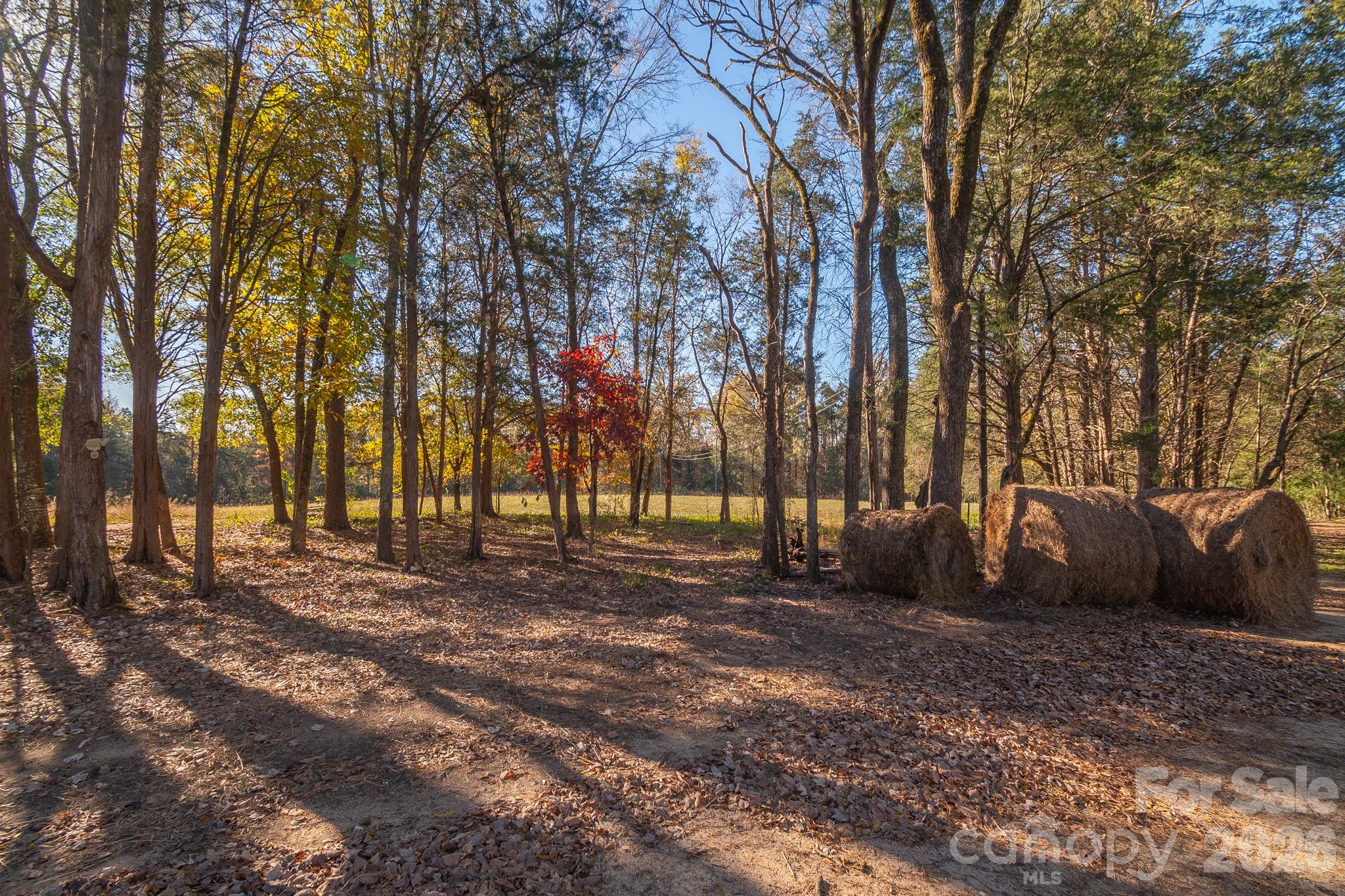 1049 Culp Ferguson Road Property Photo 11