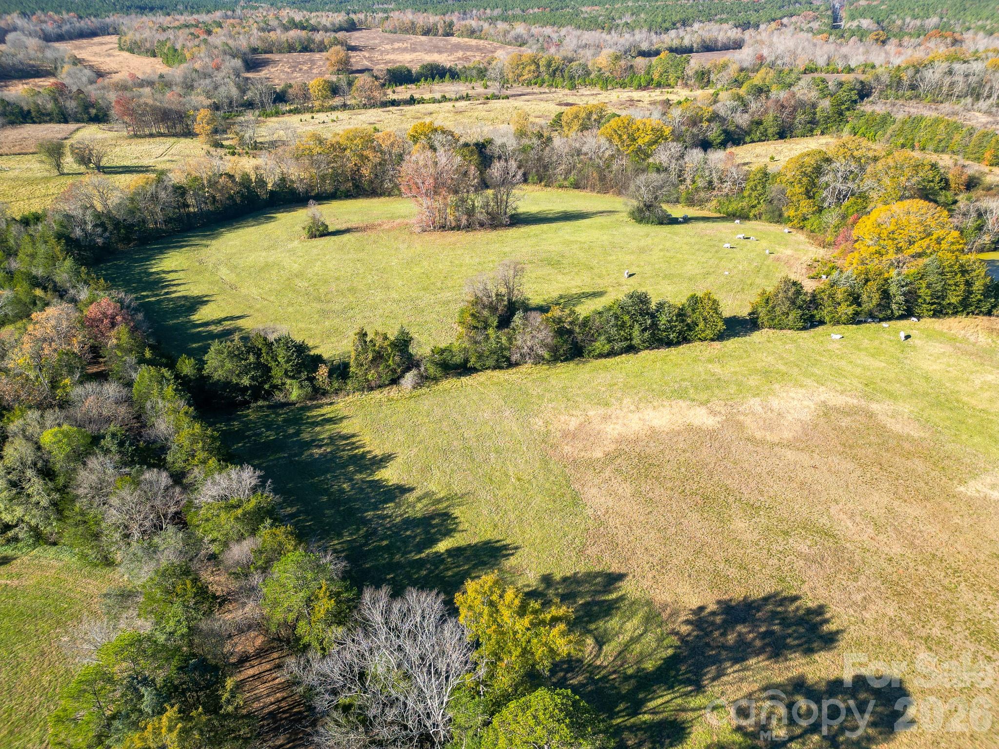 1049 Culp Ferguson Road Property Photo 15