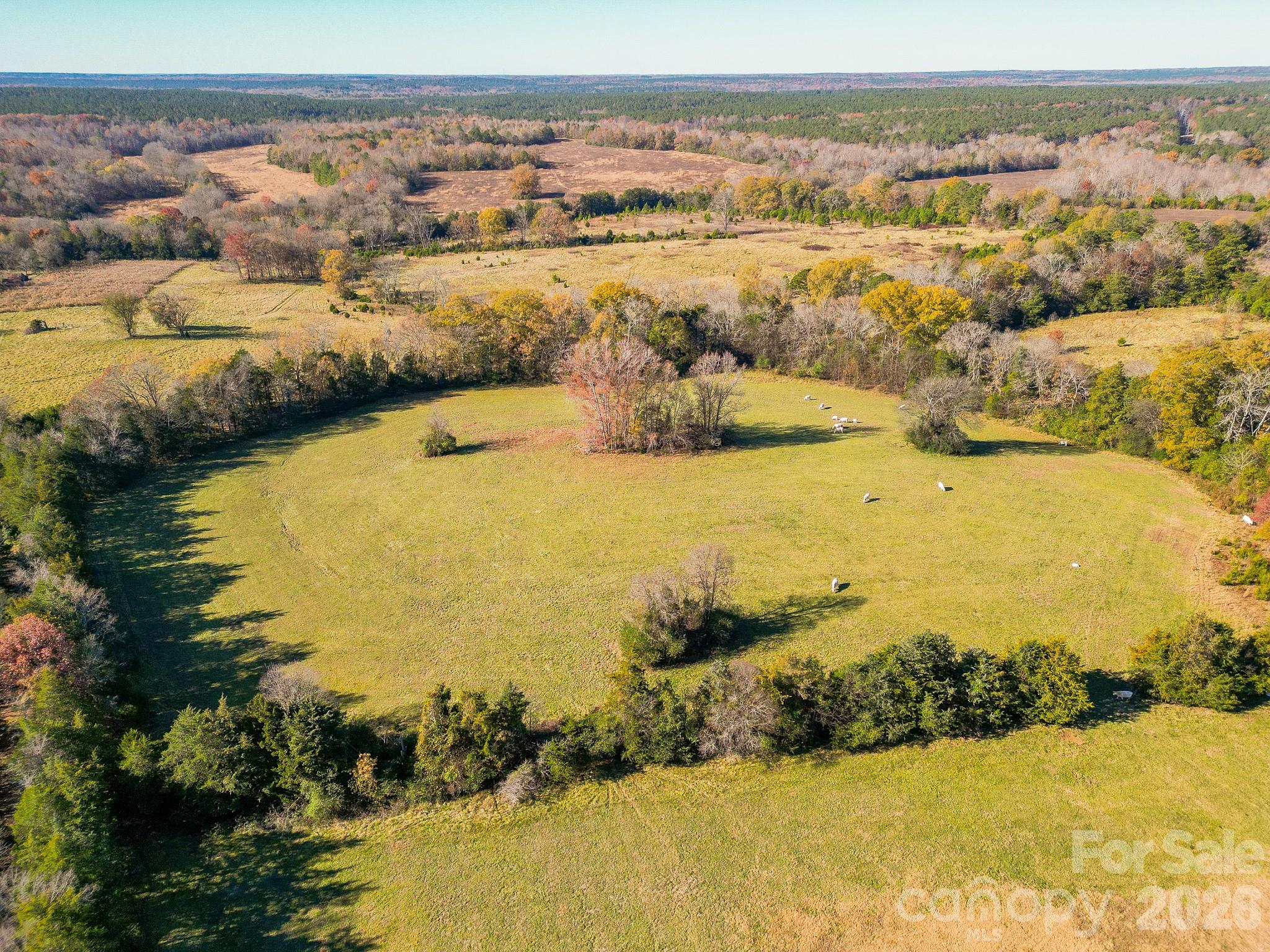 1049 Culp Ferguson Road Property Photo 26