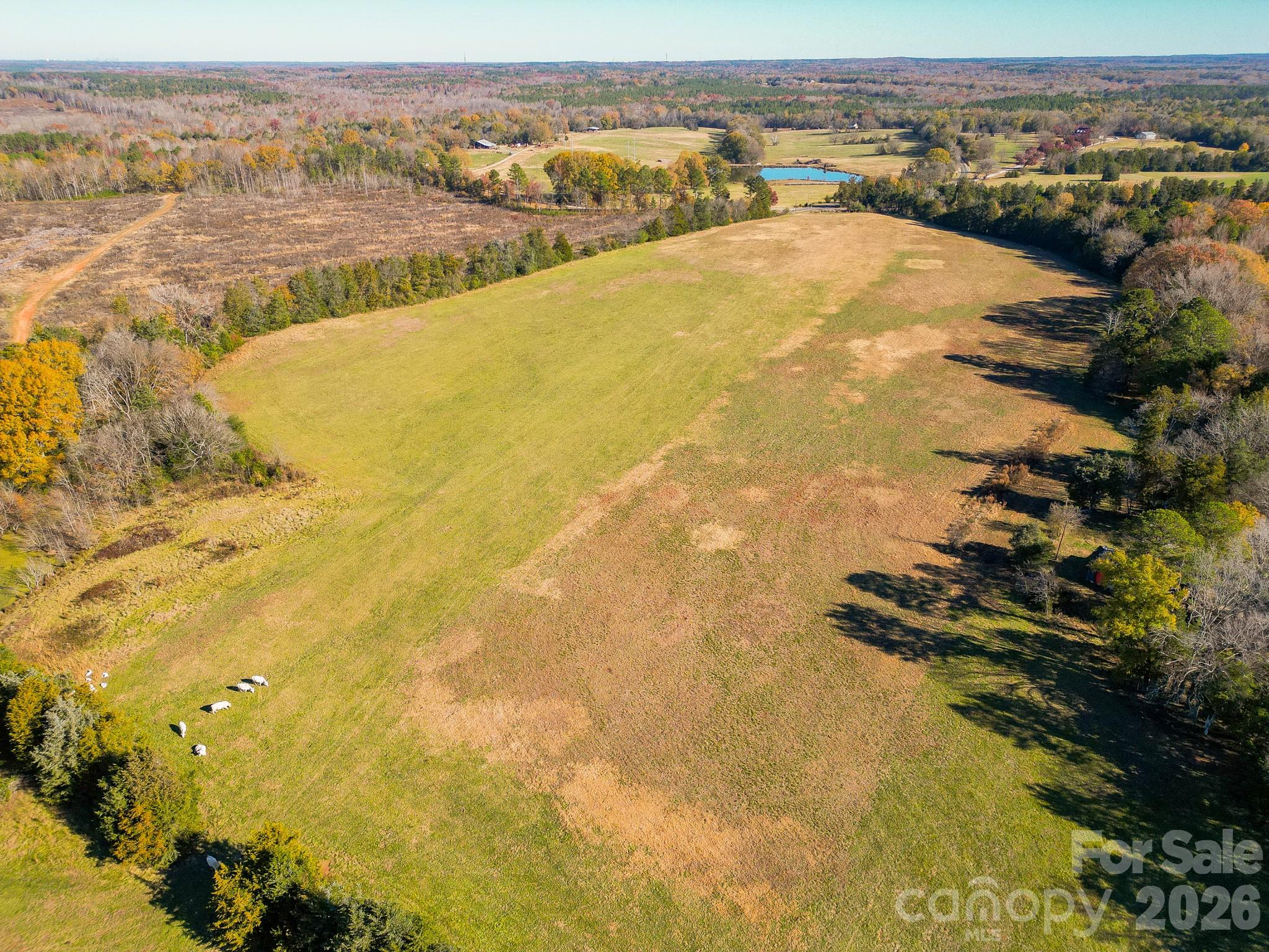 1049 Culp Ferguson Road Property Photo 27