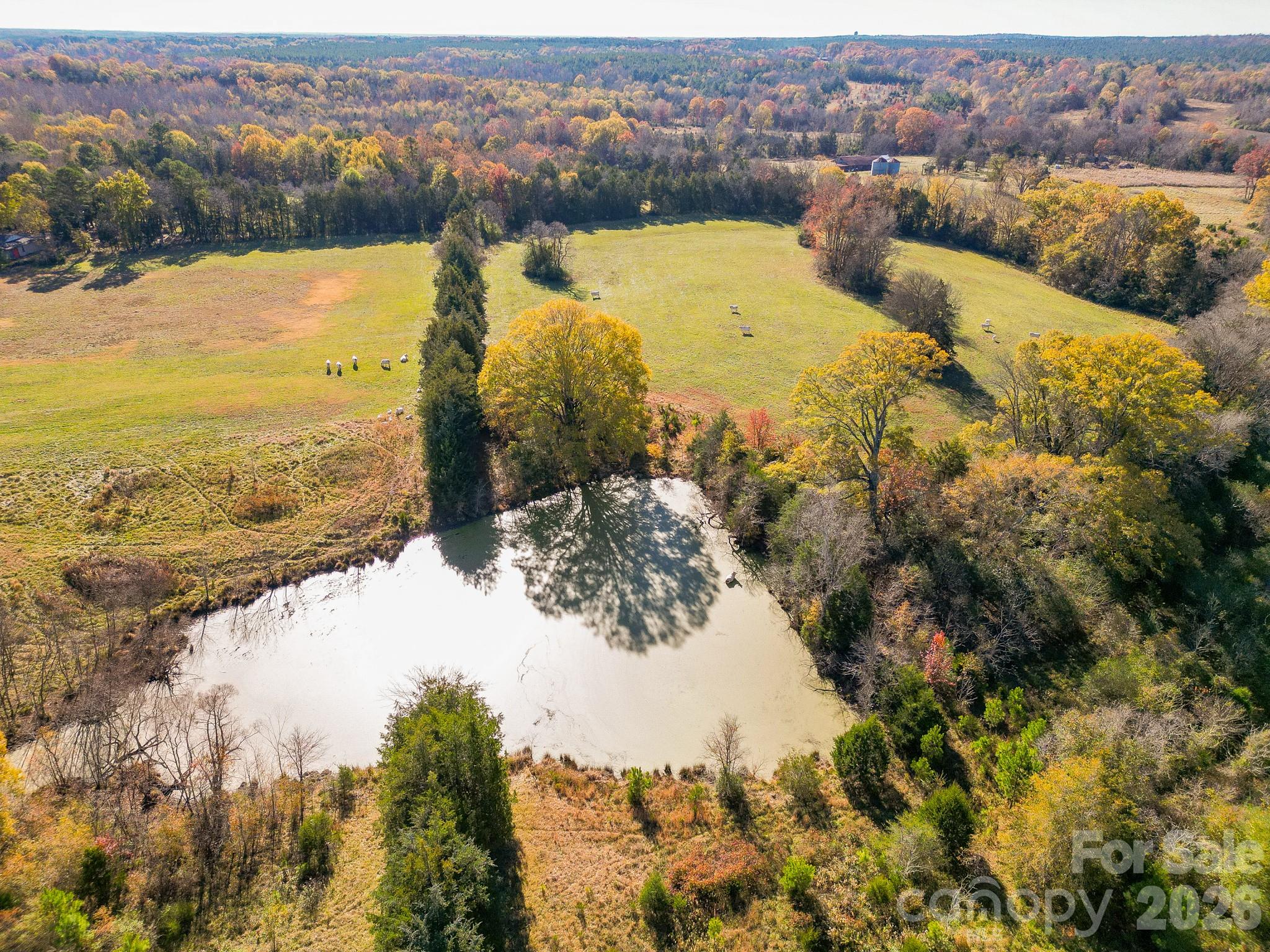 1049 Culp Ferguson Road Property Photo 29