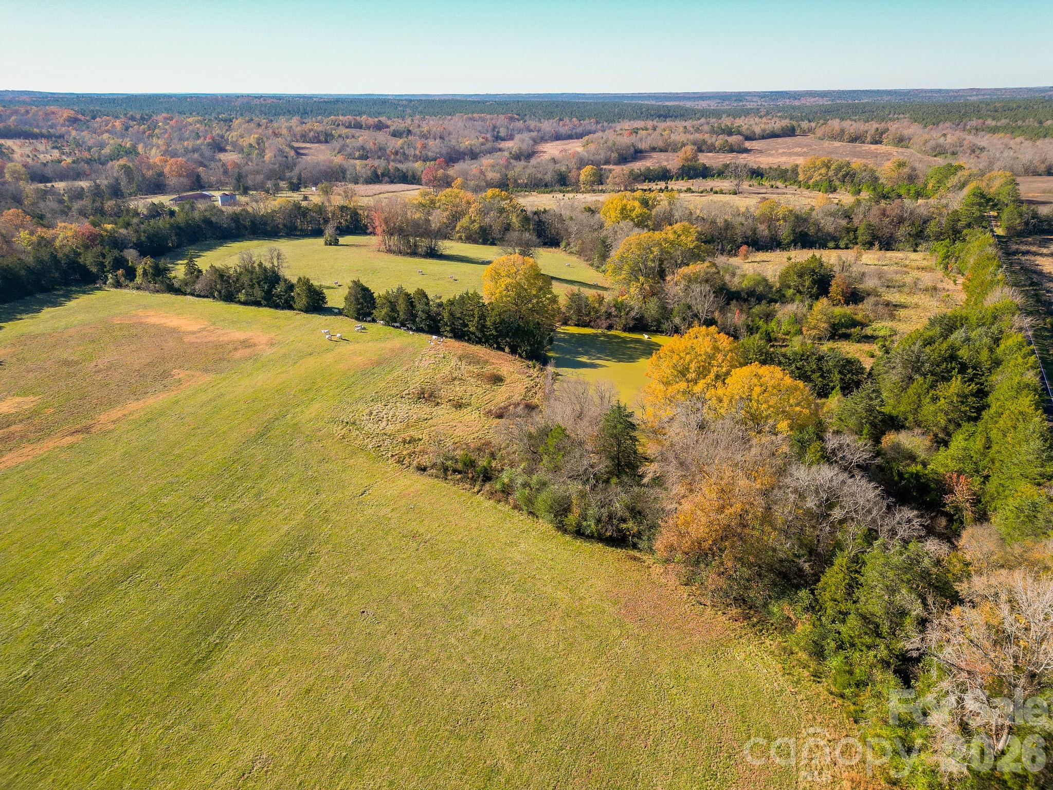 1049 Culp Ferguson Road Property Photo 31