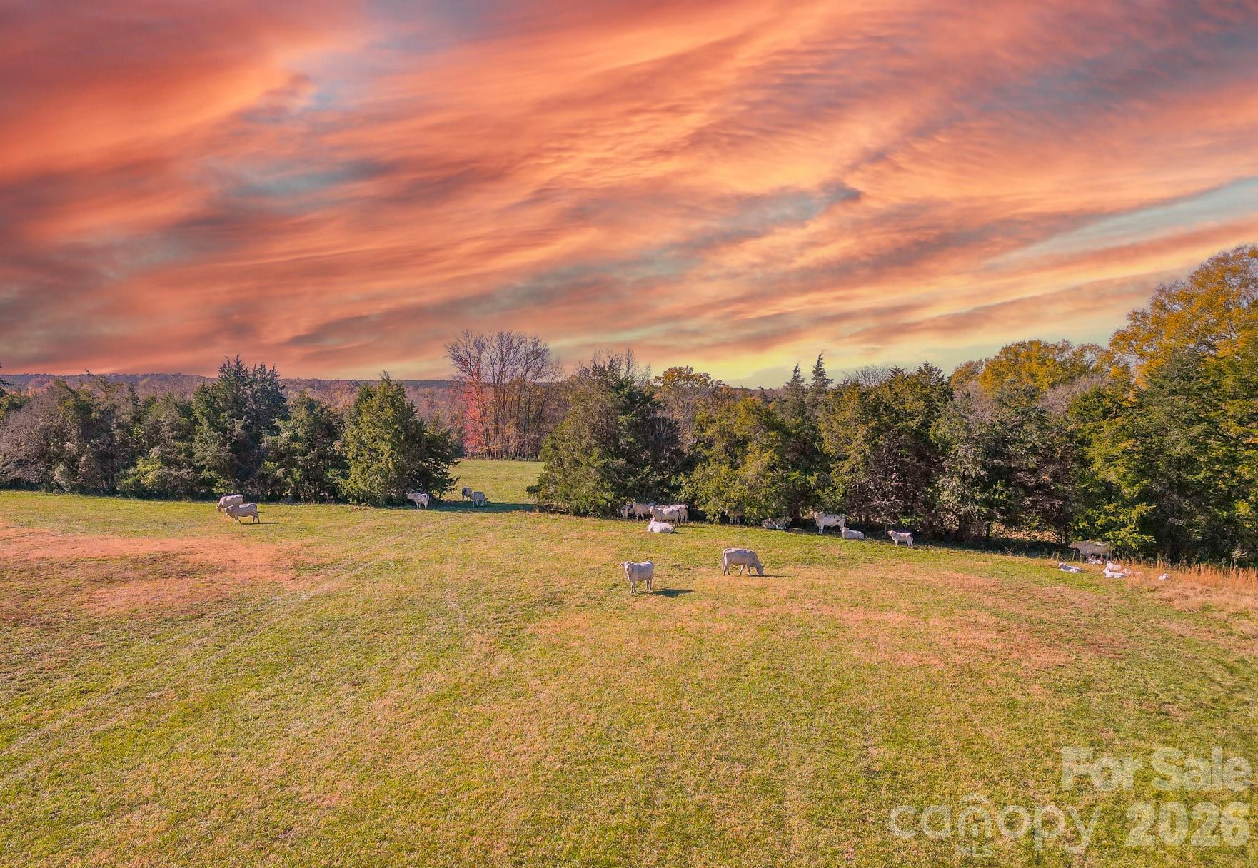 1049 Culp Ferguson Road Property Photo 33