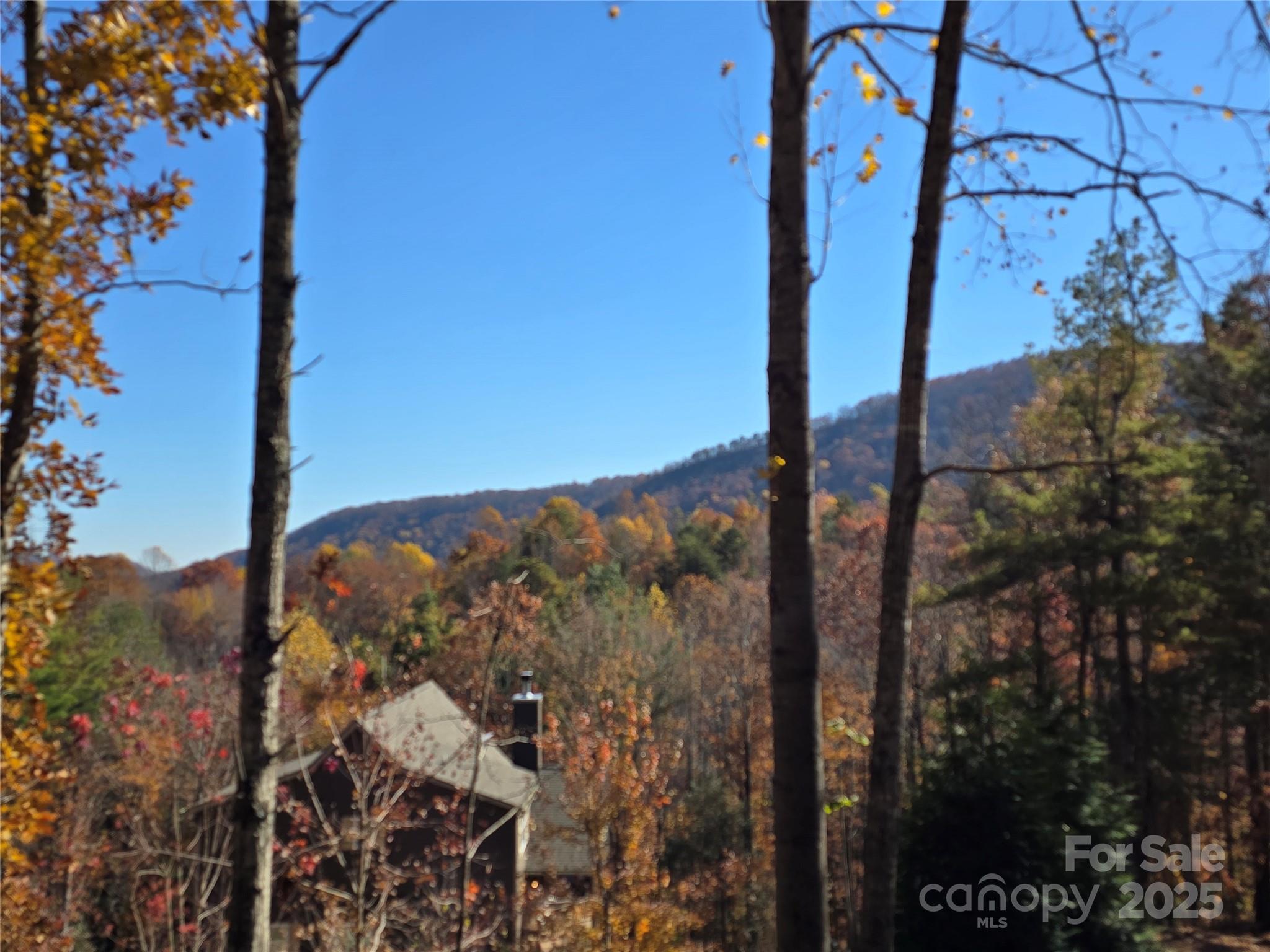 295 S Feather Falls Trail 50 Property Photo 1