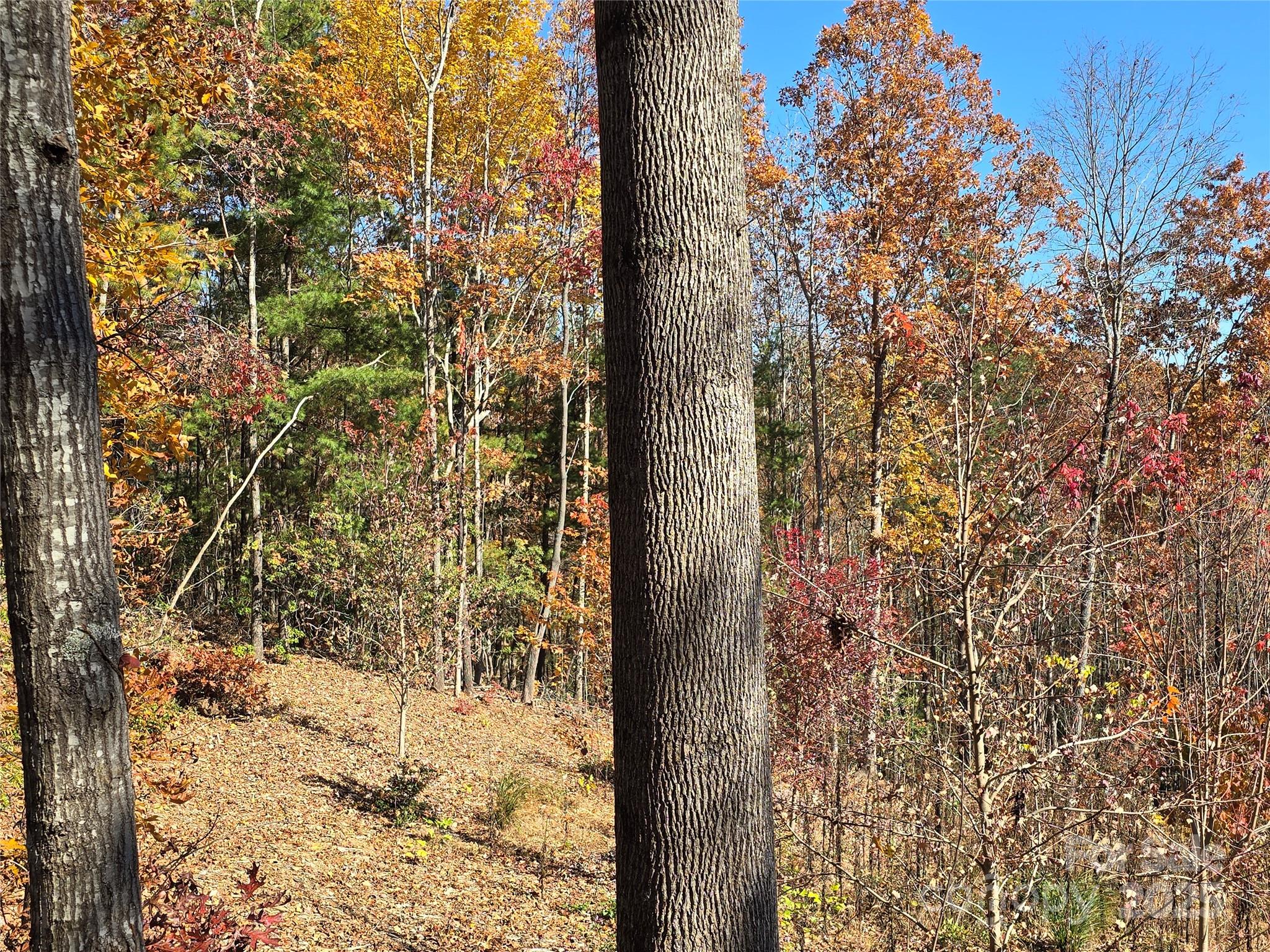 295 S Feather Falls Trail 50 Property Photo 7