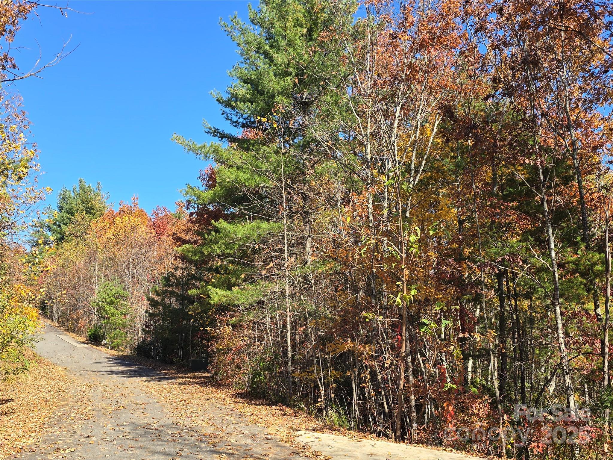 295 S Feather Falls Trail 50 Property Photo 9