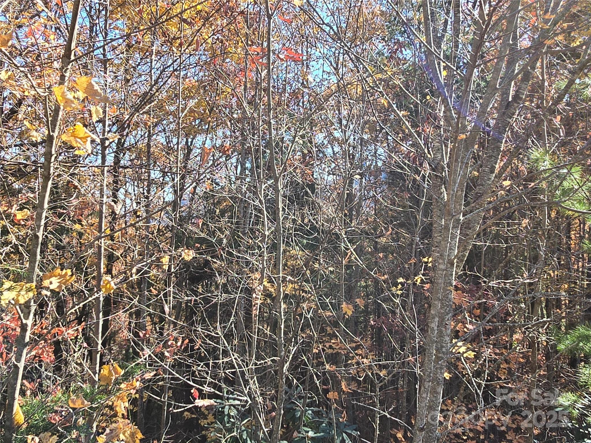 295 S Feather Falls Trail 50 Property Photo 10