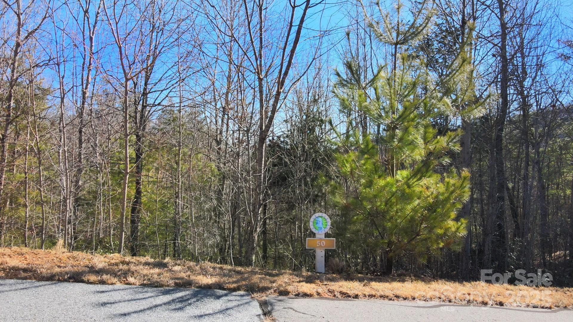 295 S Feather Falls Trail 50 Property Photo 23