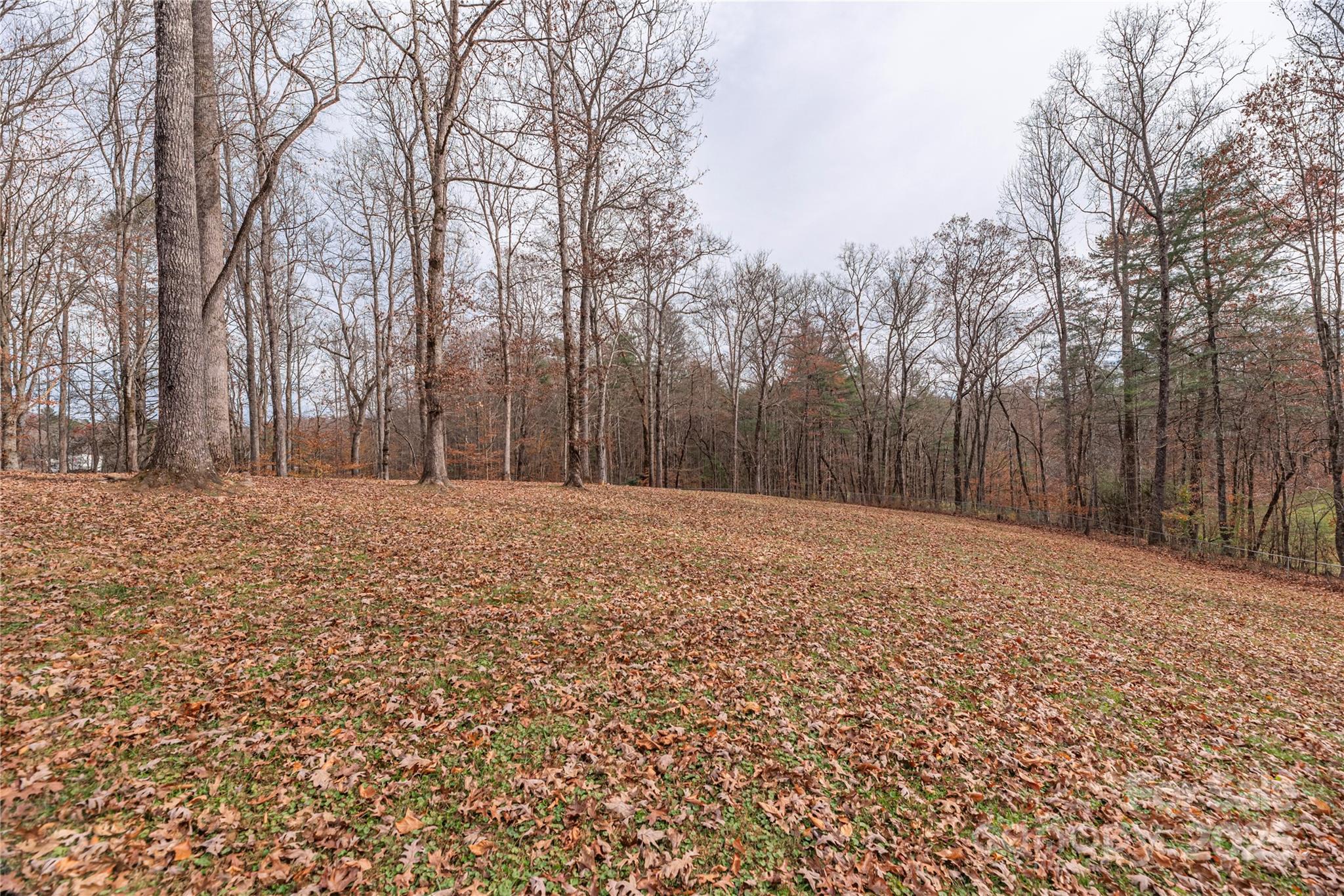 236 Pole Miller Extension Property Photo 32