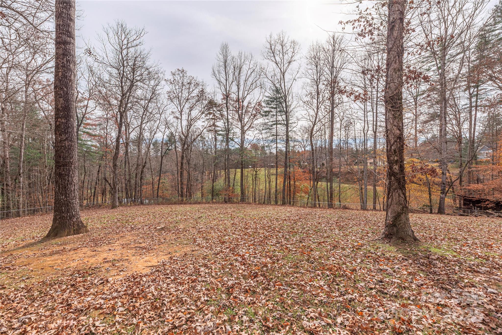 236 Pole Miller Extension Property Photo 33
