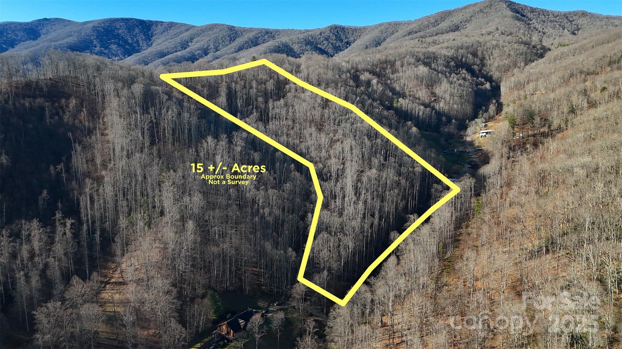 15 +/- Acres Riddle Branch Road Property Photo 1