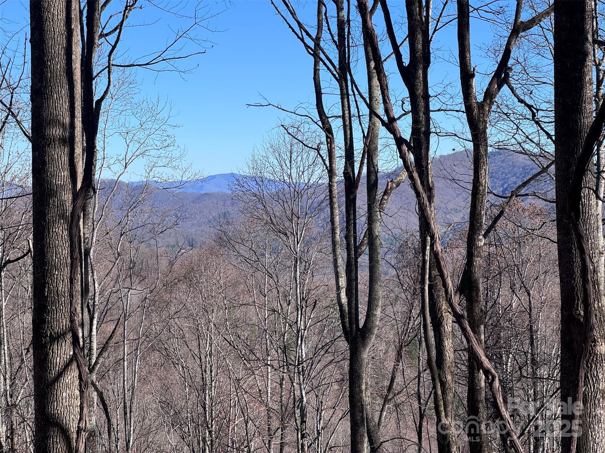 15 +/- Acres Riddle Branch Road Property Photo 4
