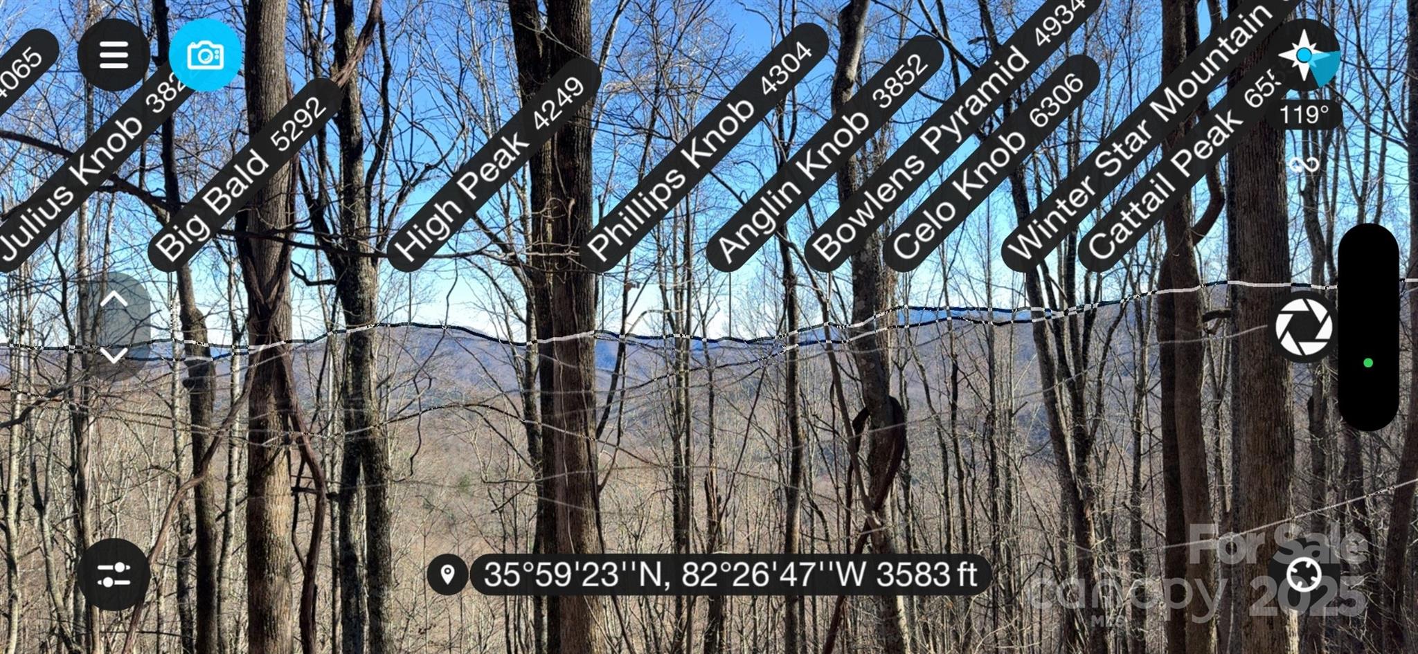 15 +/- Acres Riddle Branch Road Property Photo 5