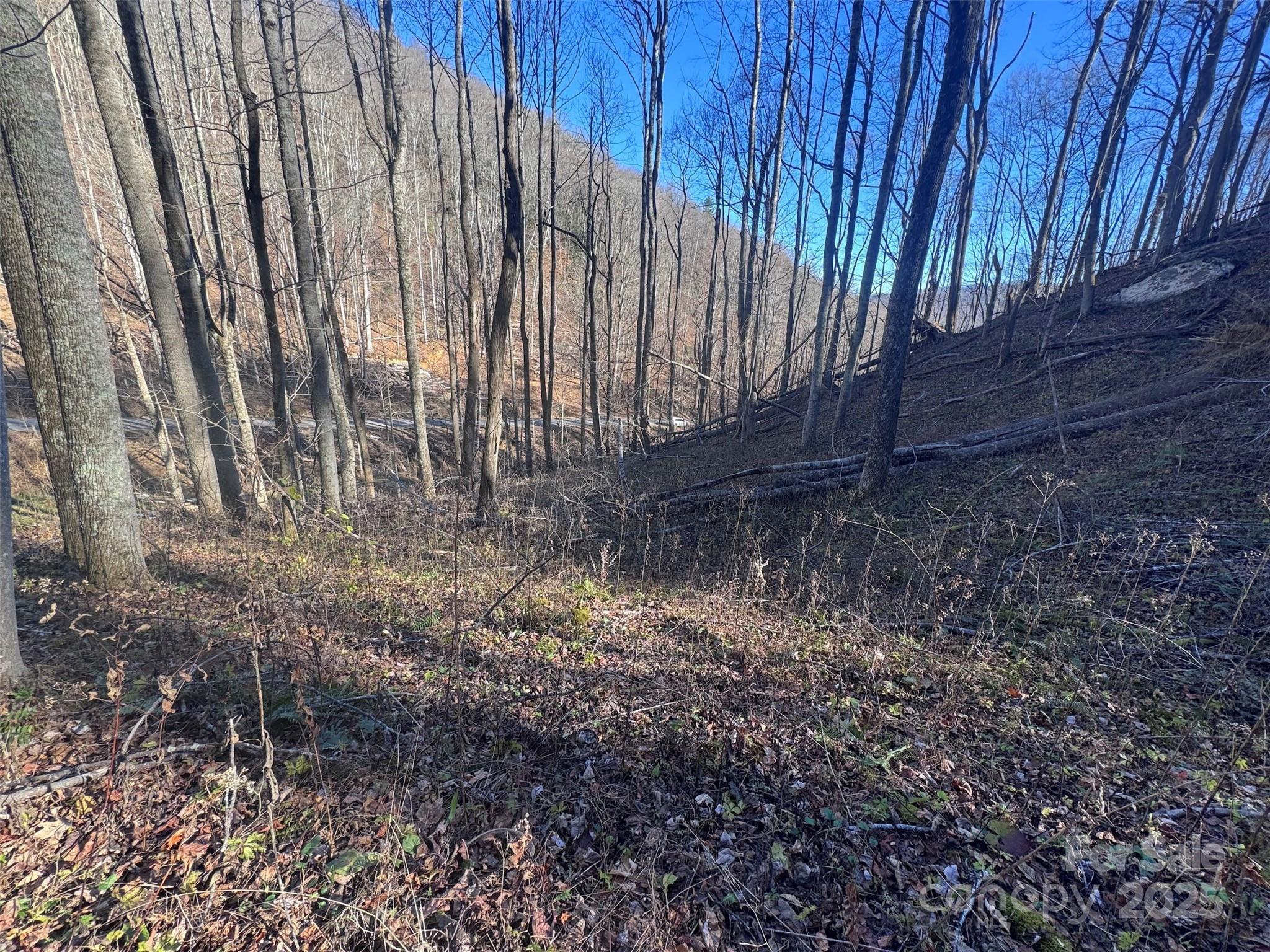 15 +/- Acres Riddle Branch Road Property Photo 9