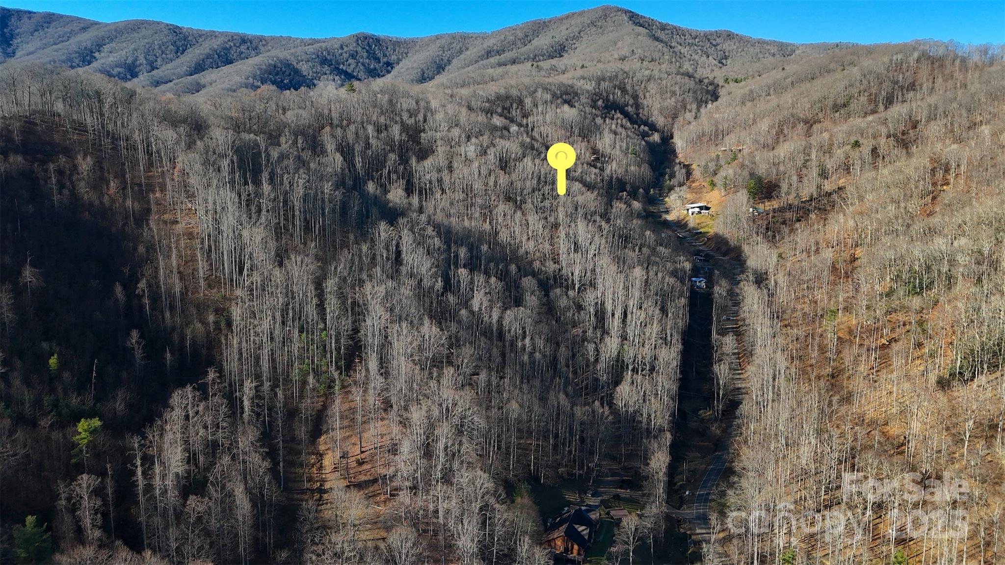 15 +/- Acres Riddle Branch Road Property Photo 13