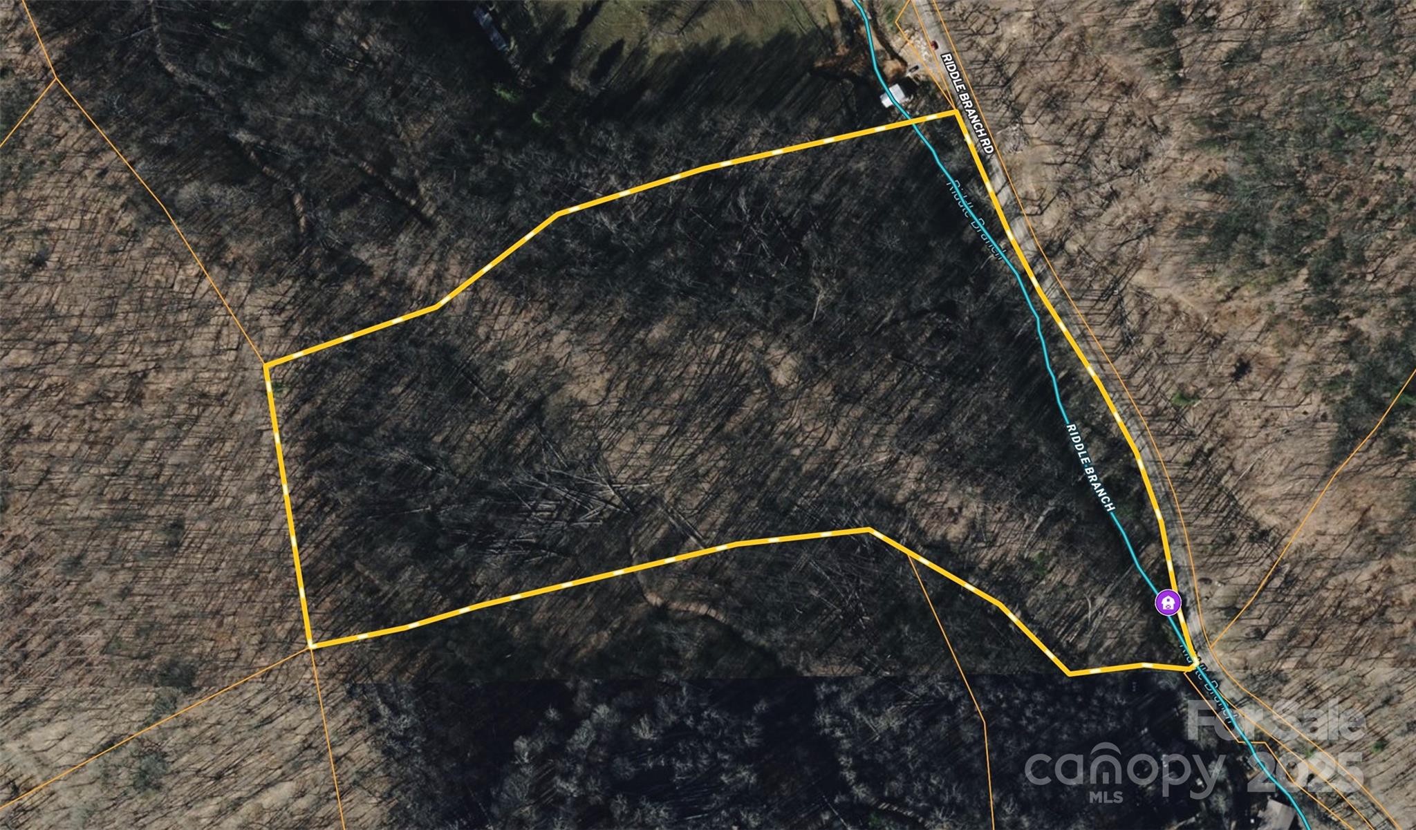 15 +/- Acres Riddle Branch Road Property Photo 14