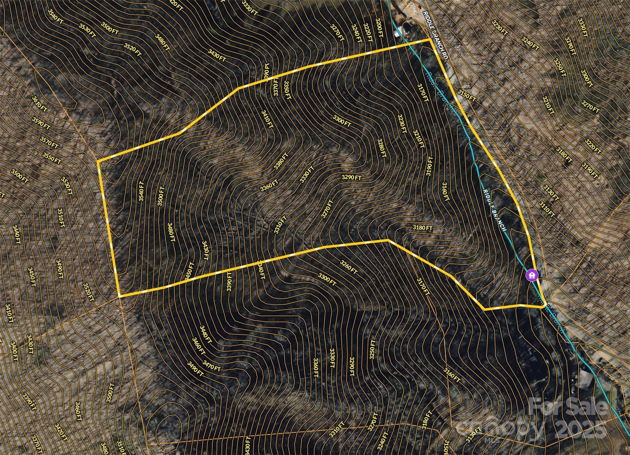 15 +/- Acres Riddle Branch Road Property Photo 15