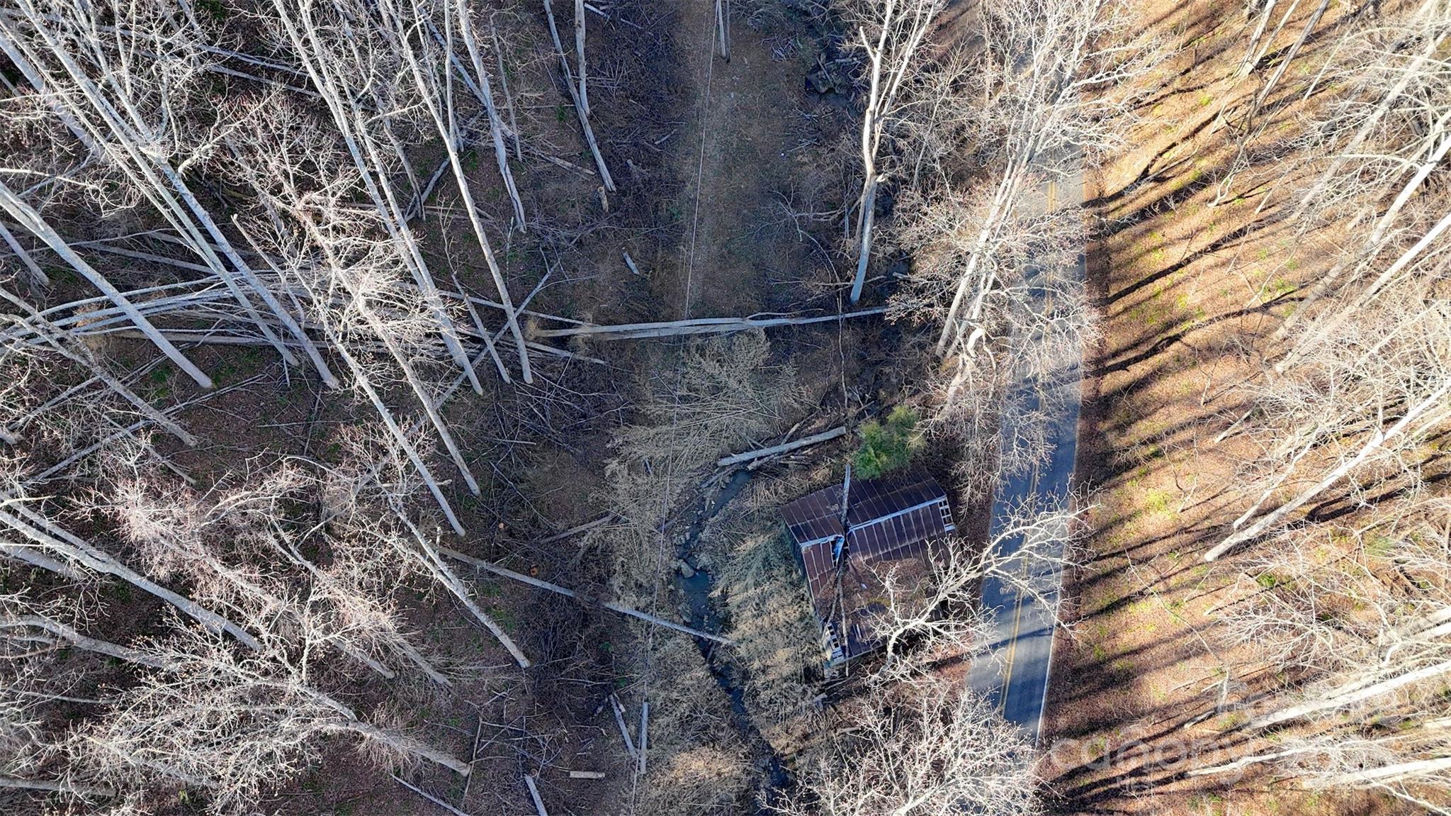 15 +/- Acres Riddle Branch Road Property Photo 23