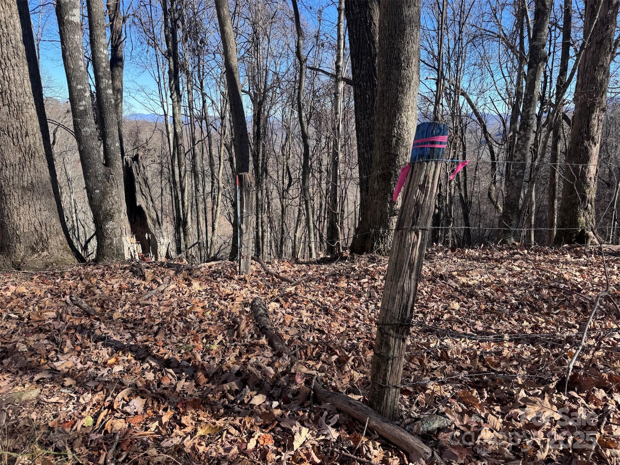 15 +/- Acres Riddle Branch Road Property Photo 25