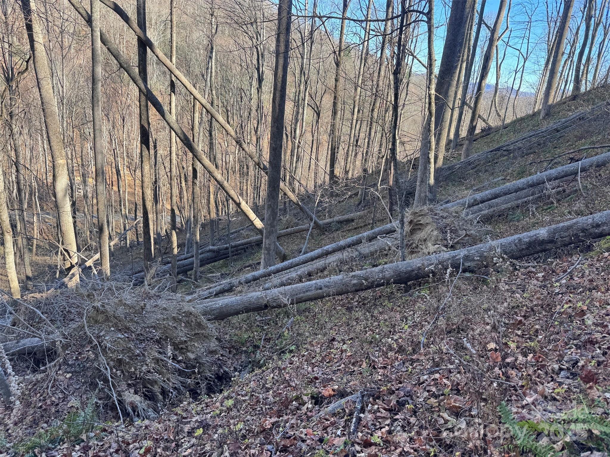 15 +/- Acres Riddle Branch Road Property Photo 27