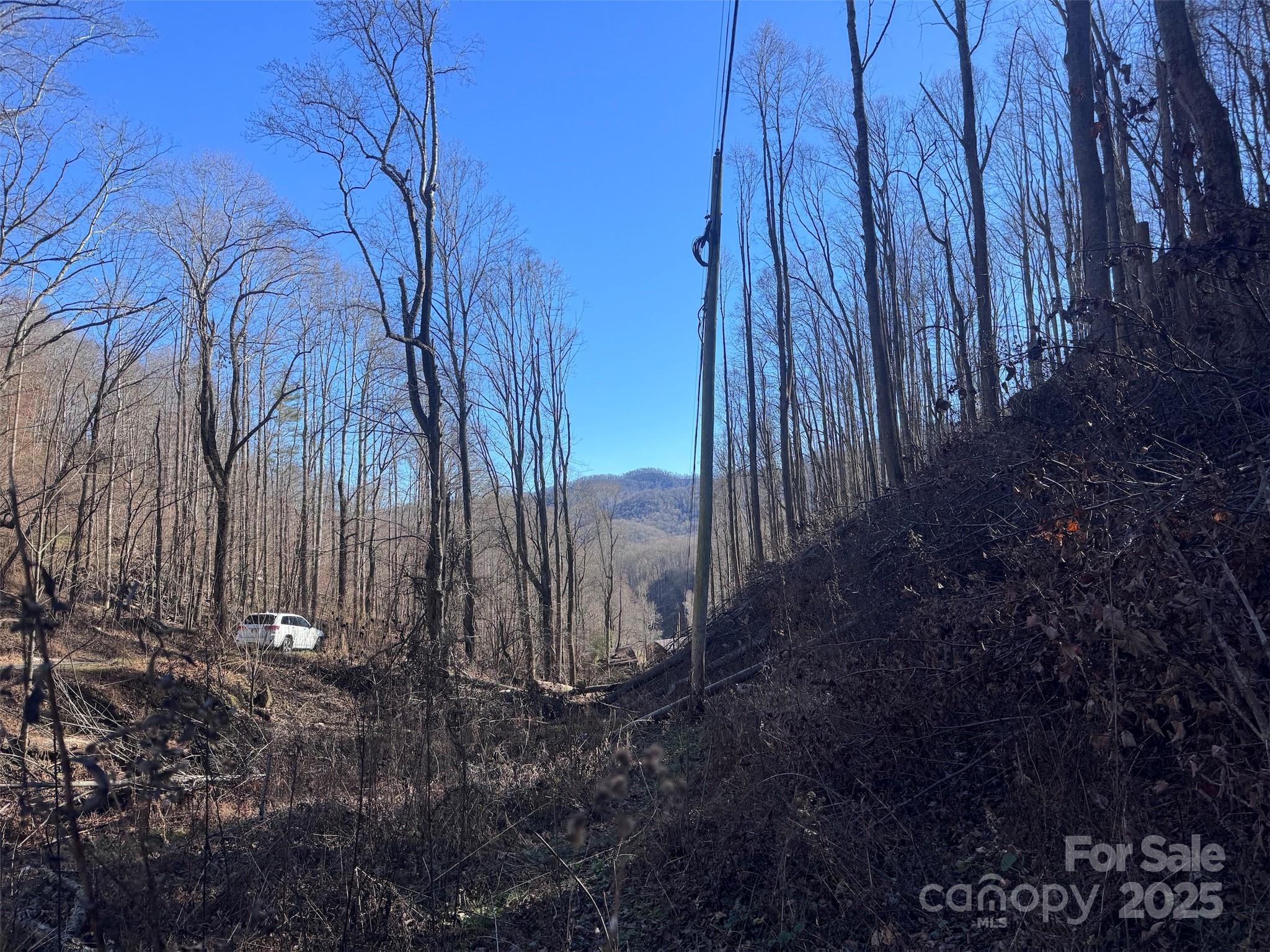 15 +/- Acres Riddle Branch Road Property Photo 29