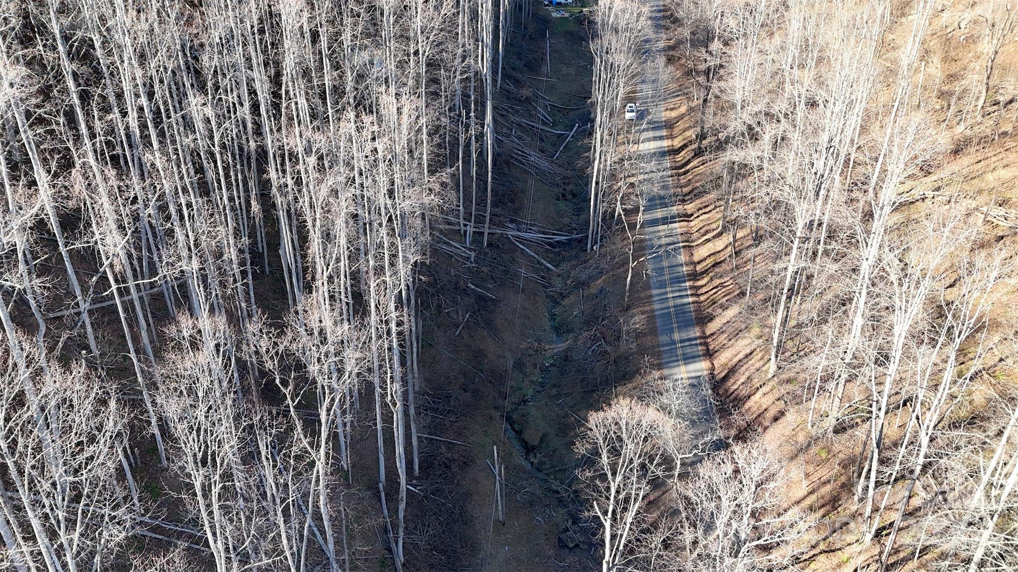 15 +/- Acres Riddle Branch Road Property Photo 34