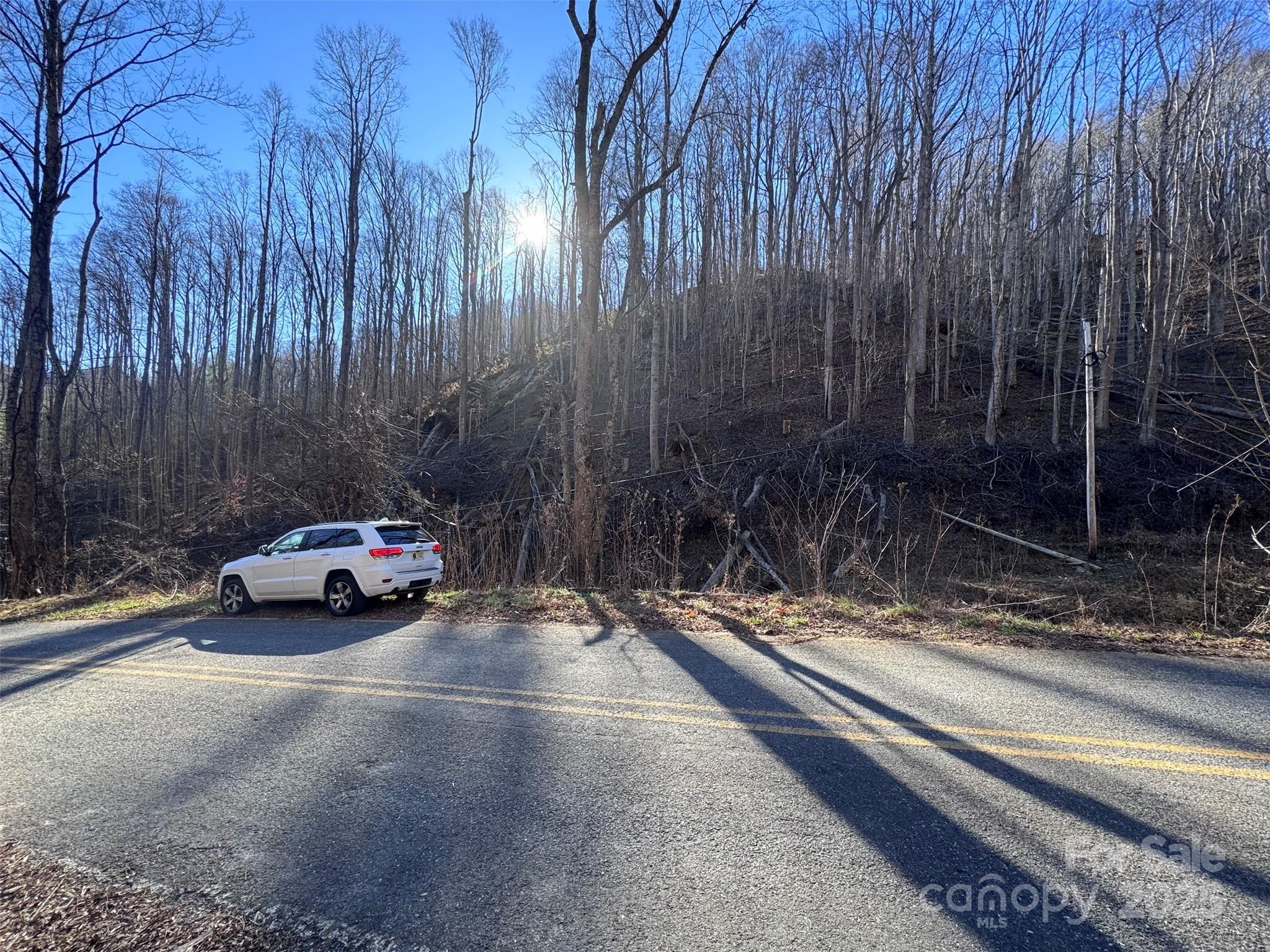 15 +/- Acres Riddle Branch Road Property Photo 35