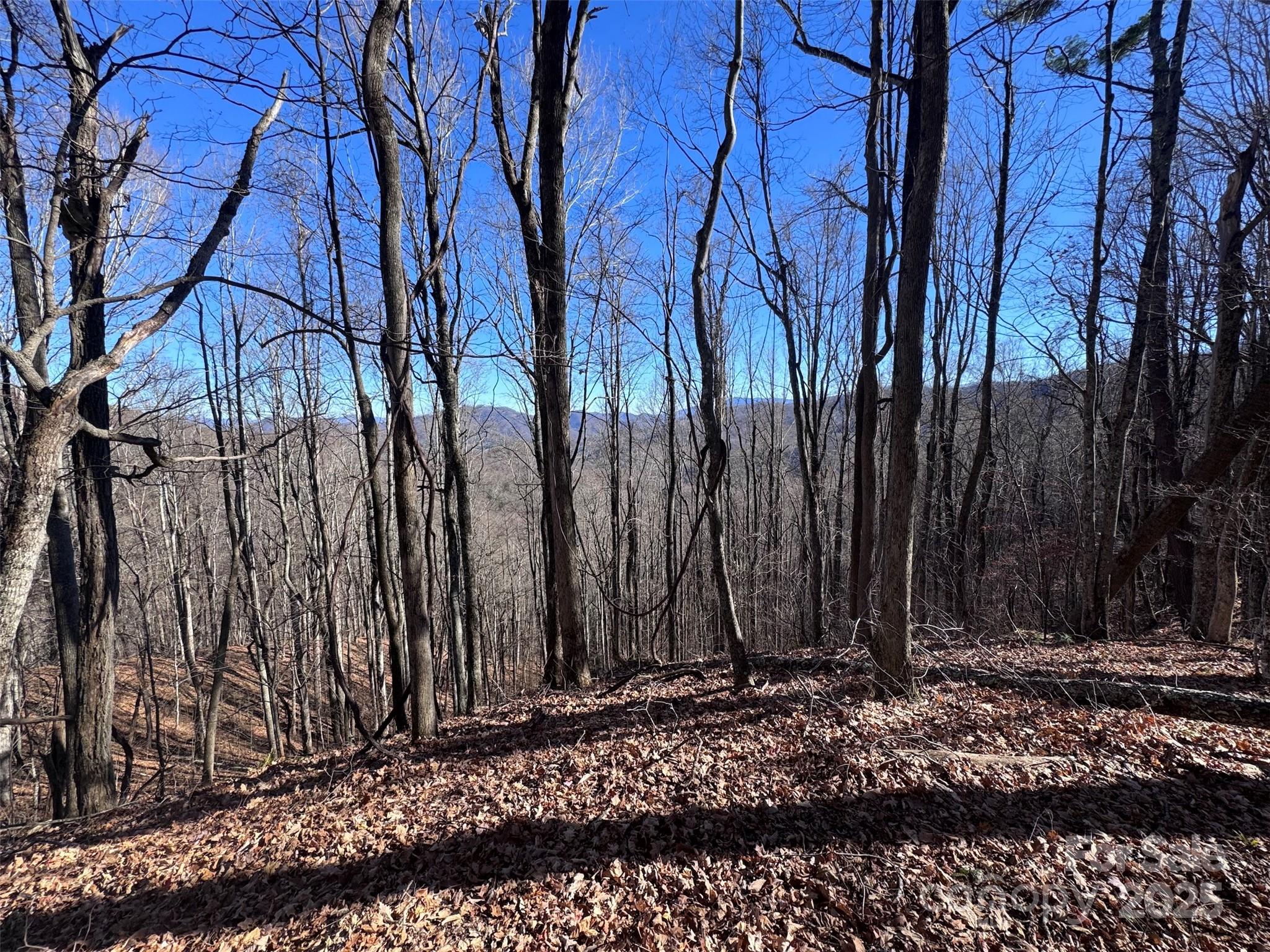 15 +/- Acres Riddle Branch Road Property Photo 37