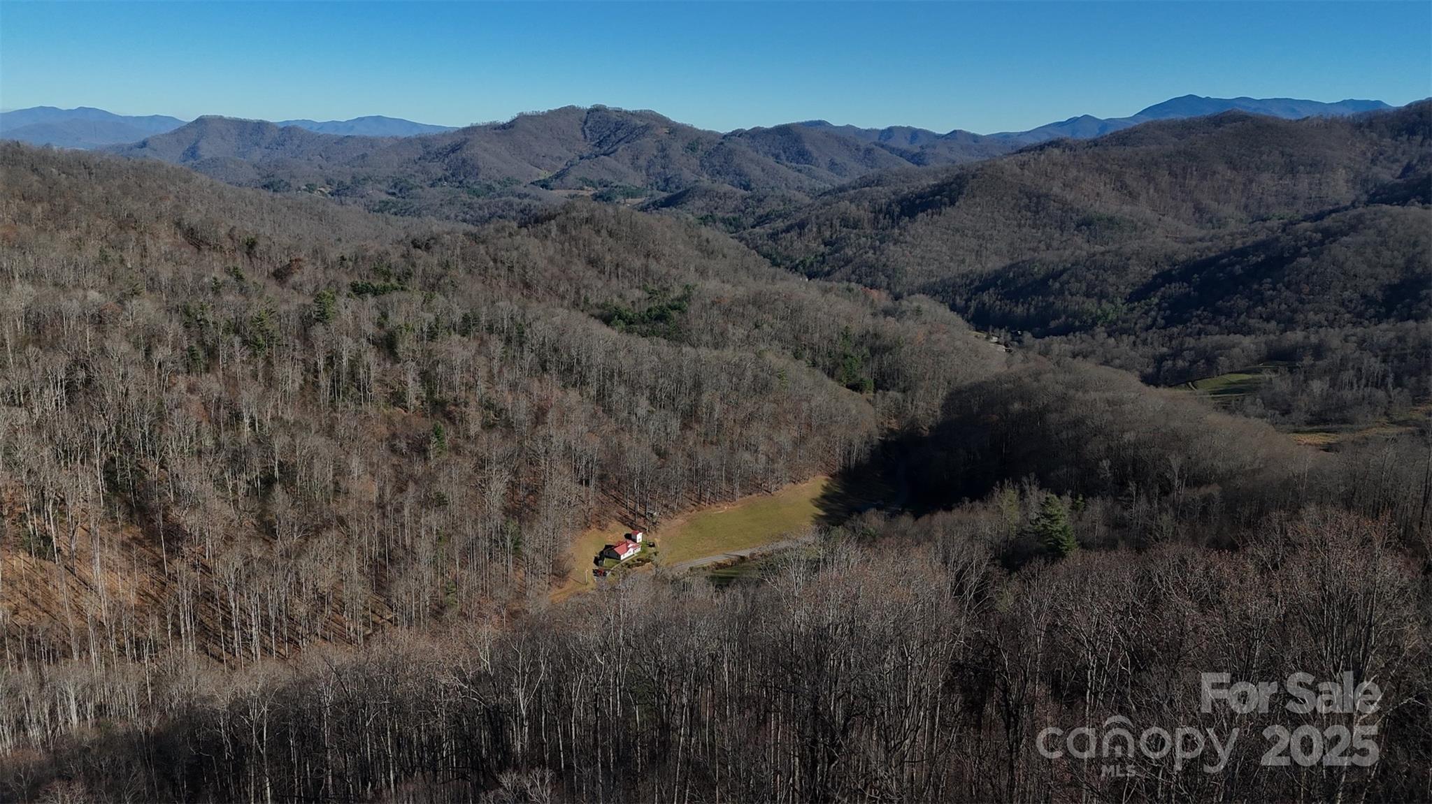 15 +/- Acres Riddle Branch Road Property Photo 38