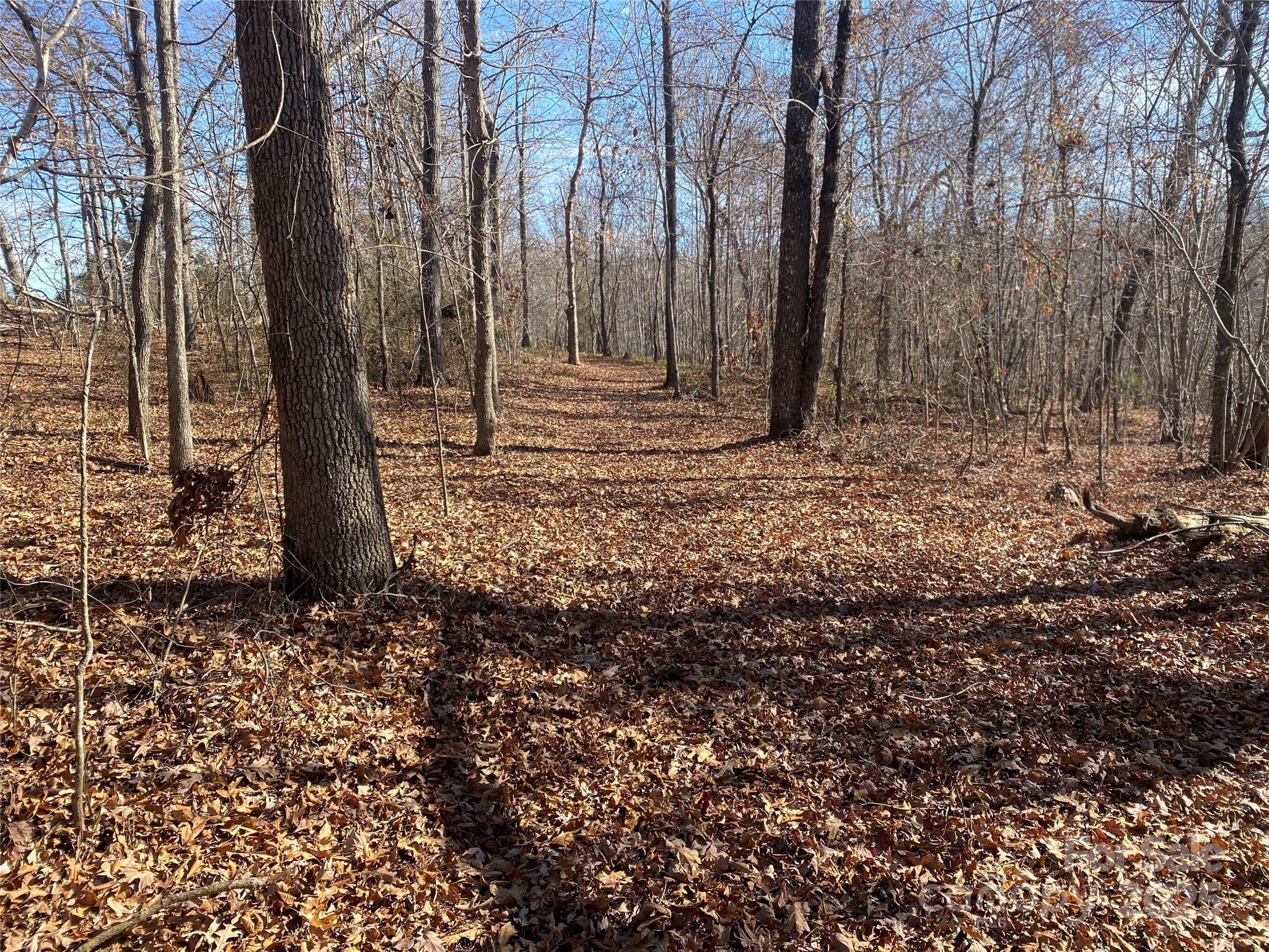 00 Kiser Road Lot 1 Property Photo 1