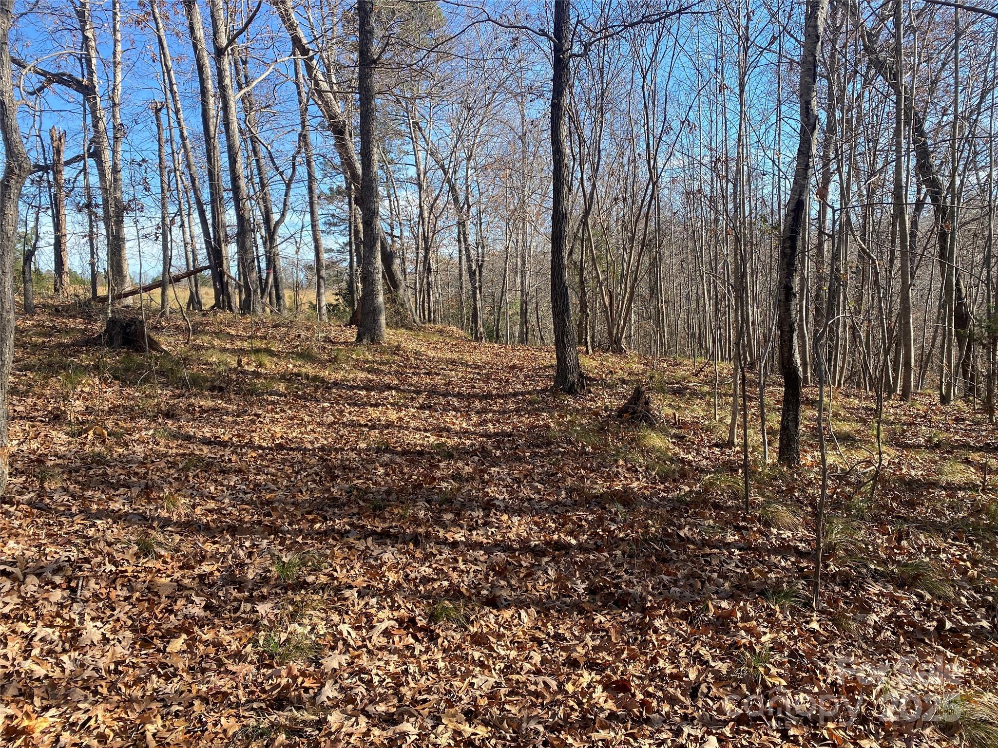 00 Kiser Road Lot 1 Property Photo 4