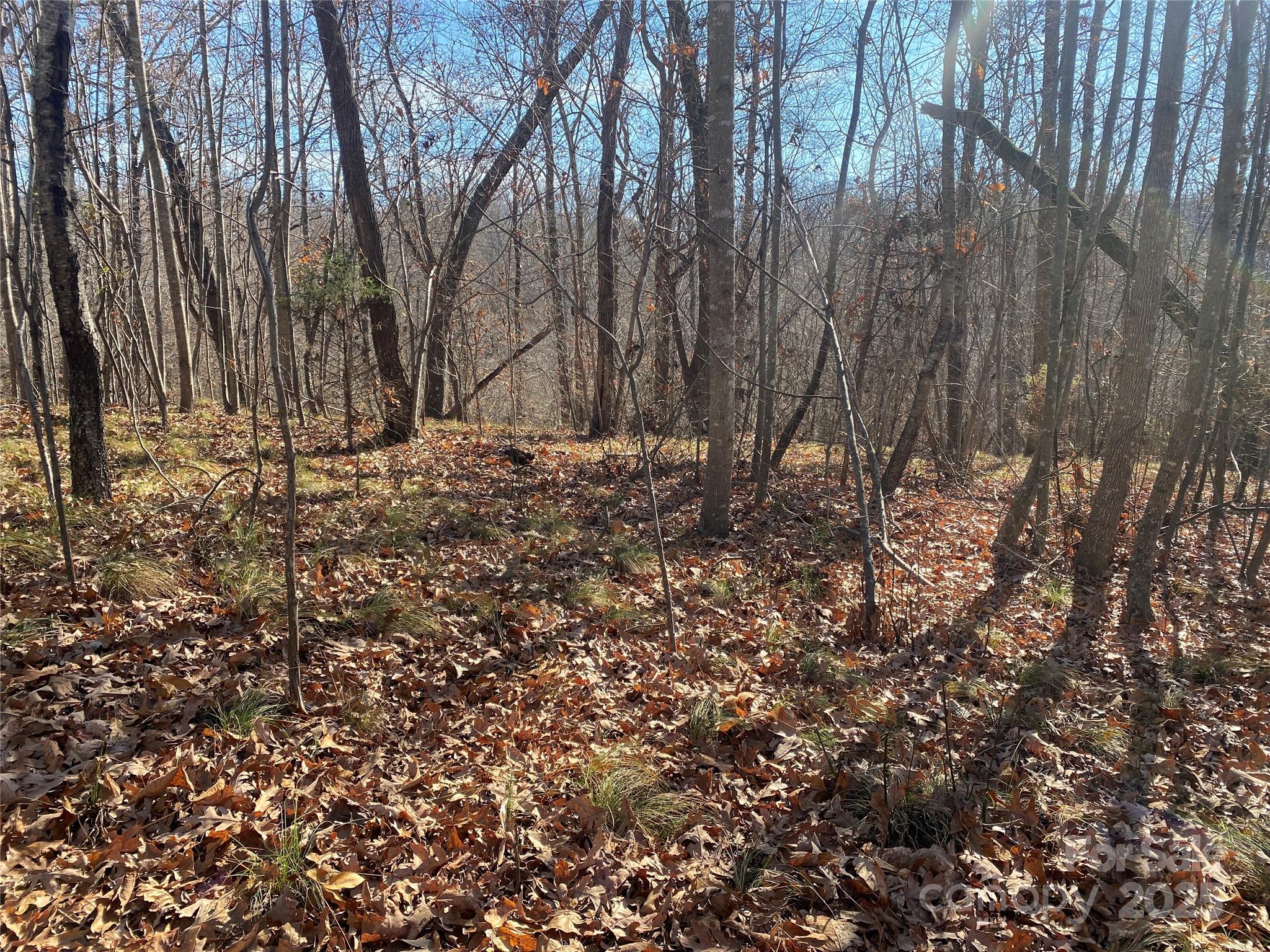 00 Kiser Road Lot 1 Property Photo 5