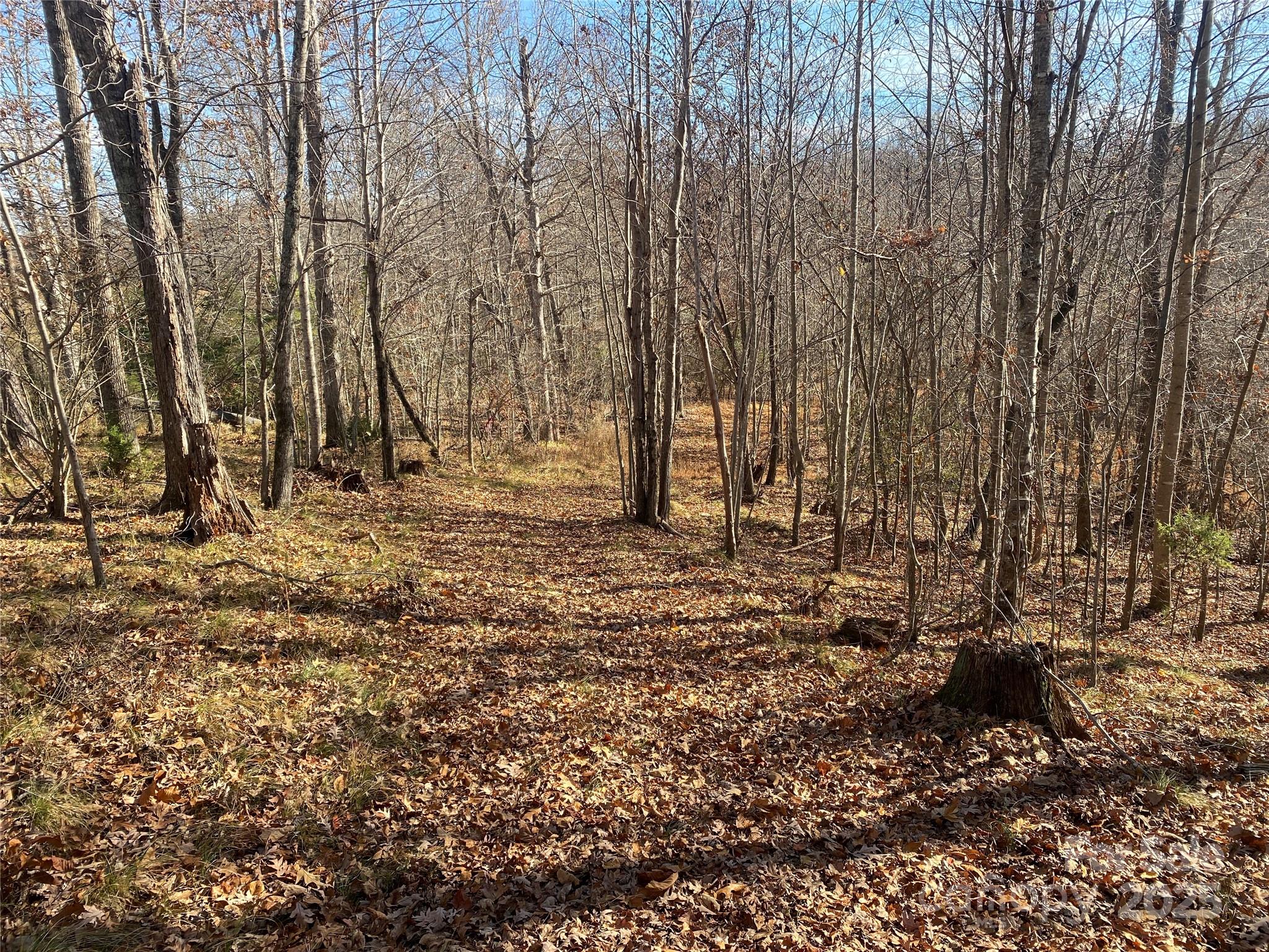 00 Kiser Road Lot 1 Property Photo 6