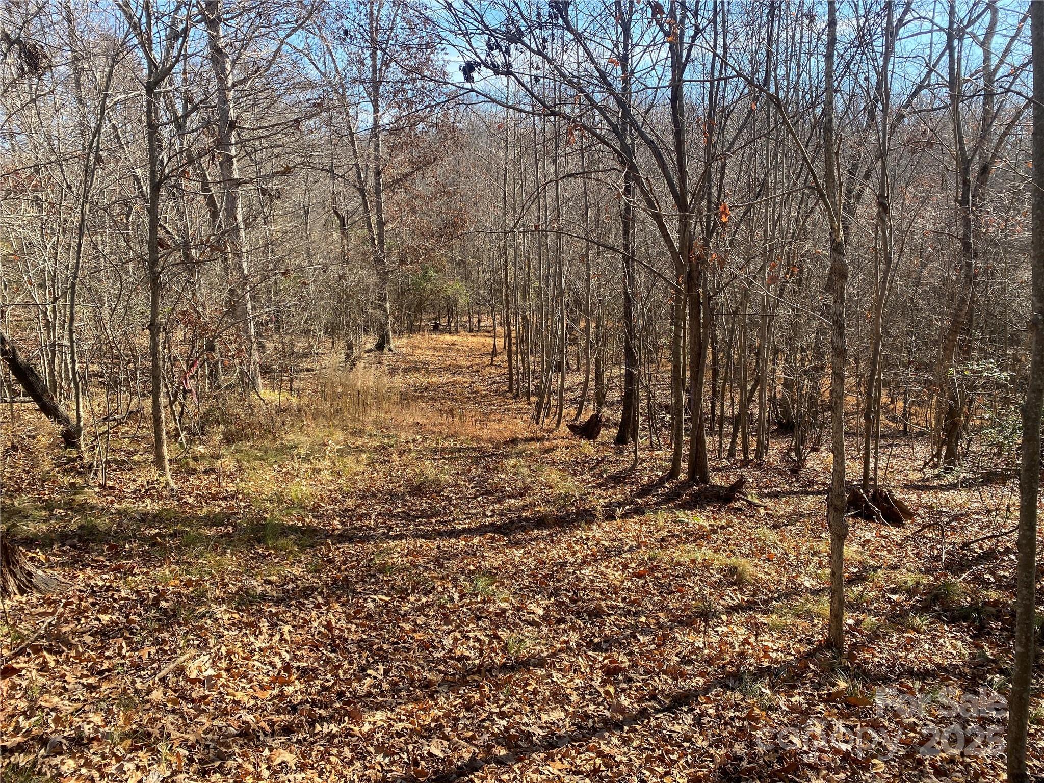 00 Kiser Road Lot 1 Property Photo 7