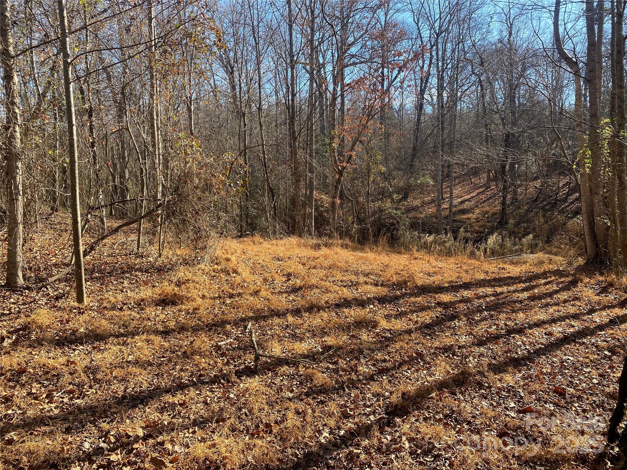 00 Kiser Road Lot 1 Property Photo 8