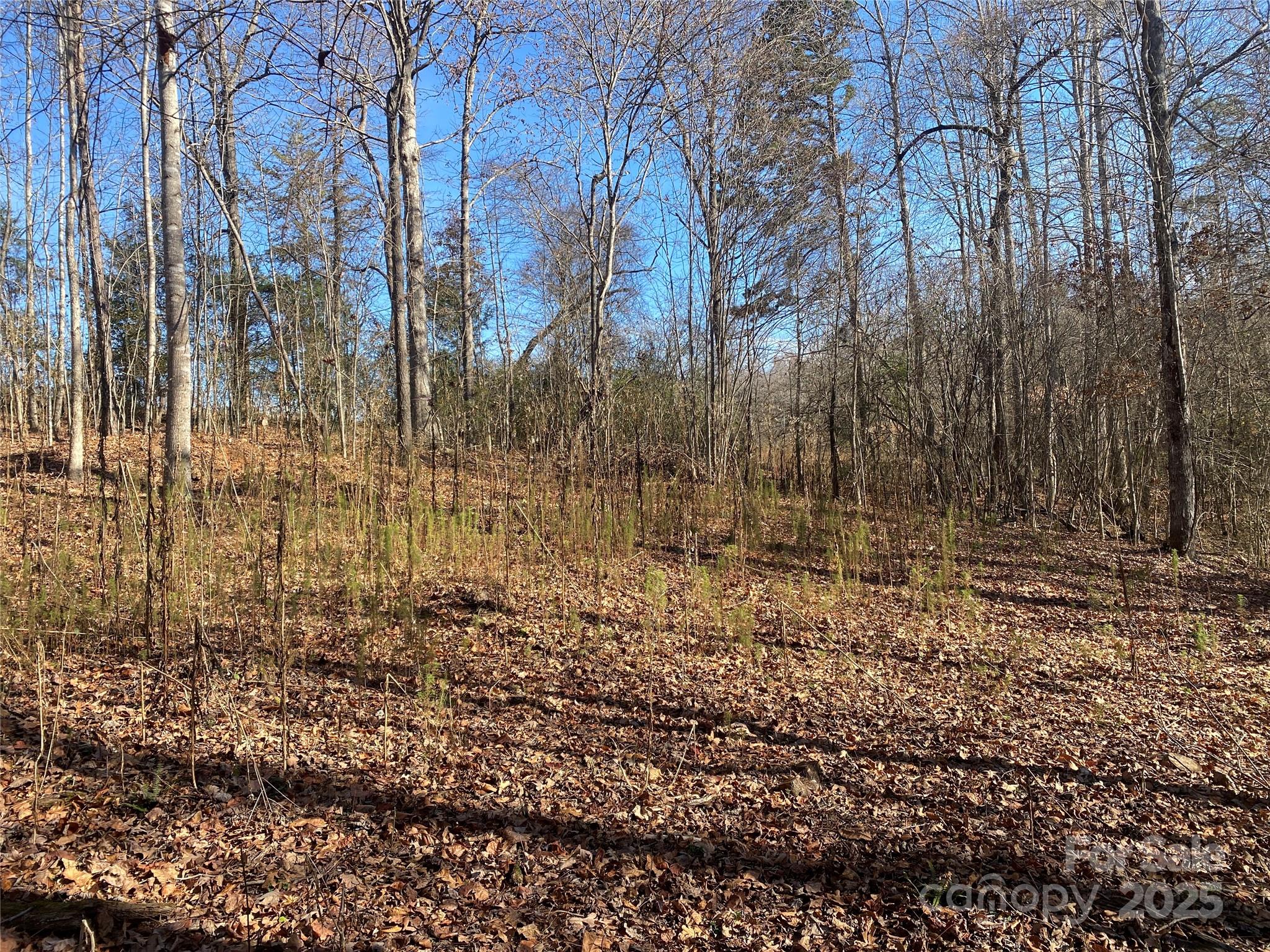 00 Kiser Road Lot 1 Property Photo 9