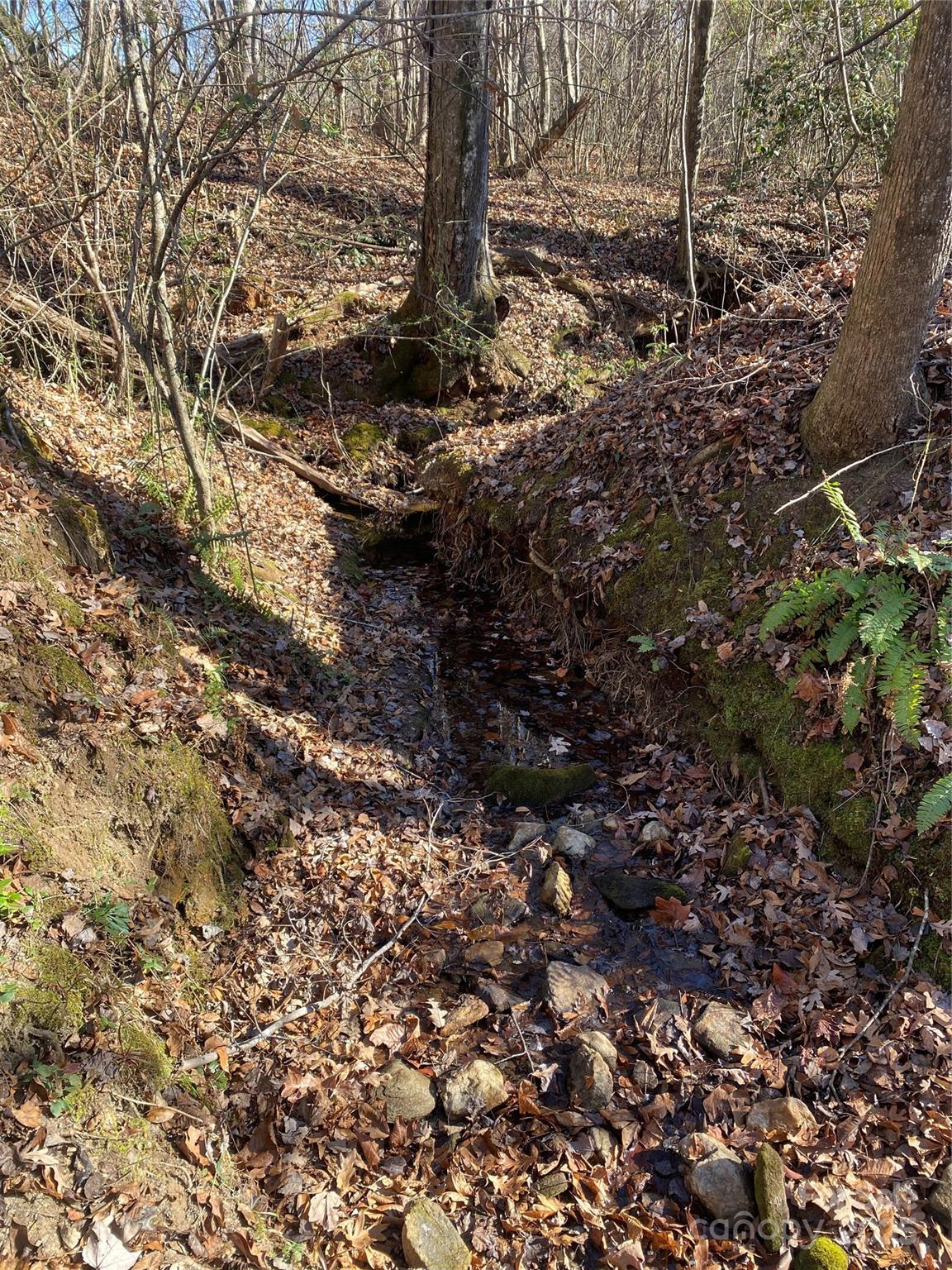 00 Kiser Road Lot 1 Property Photo 11