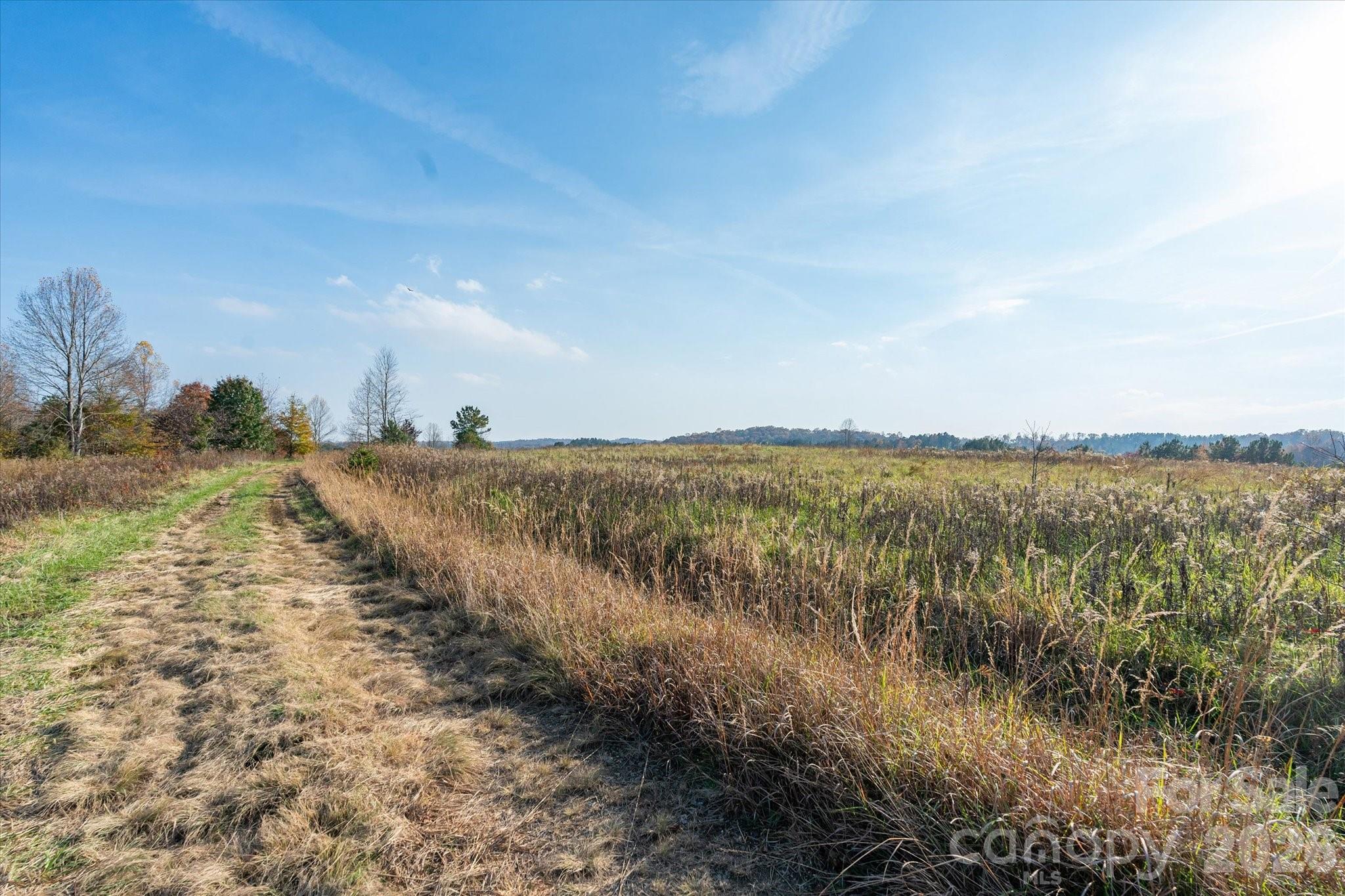 1888 Pea Ridge Road Property Photo 6