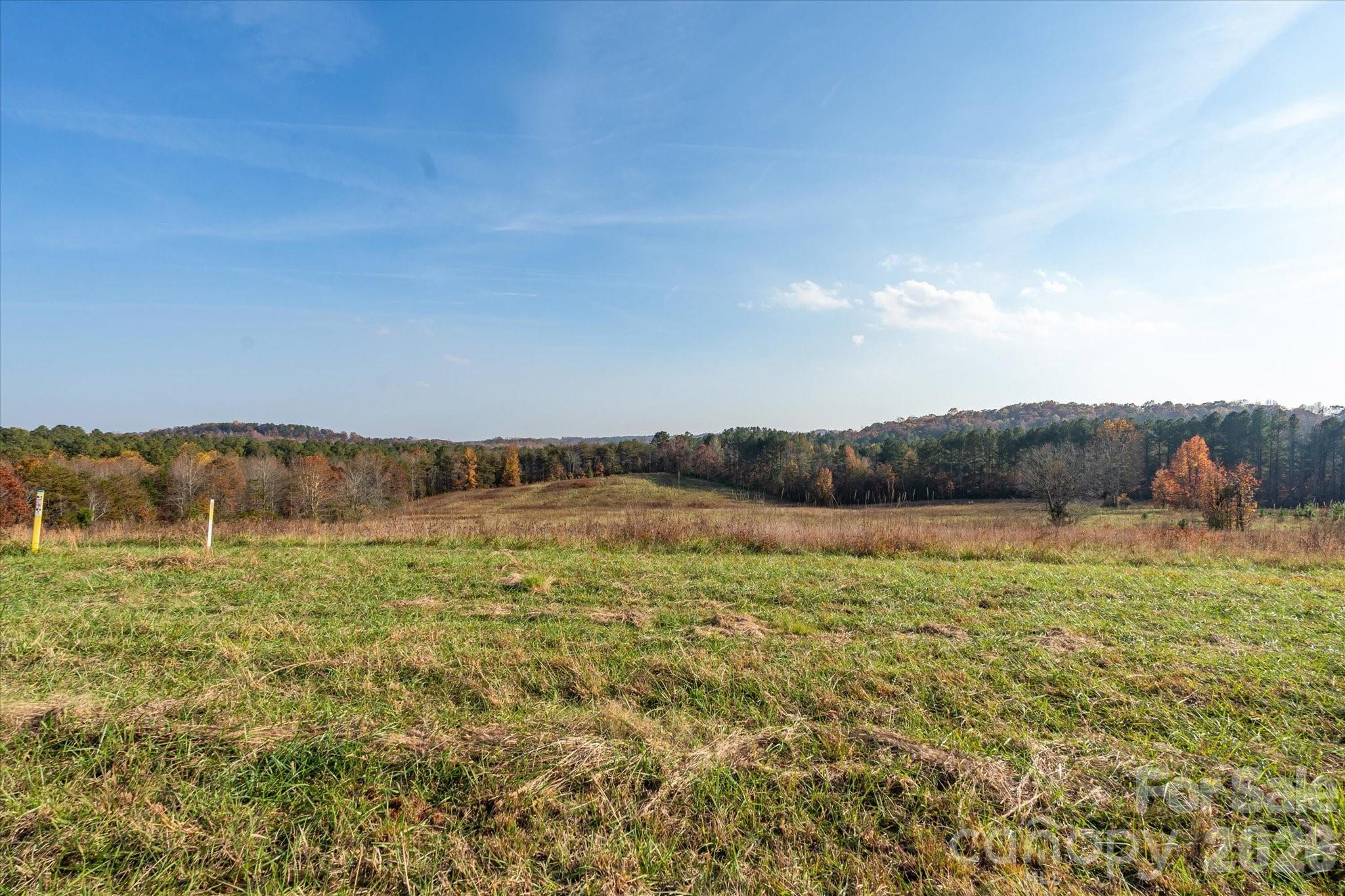 1888 Pea Ridge Road Property Photo 12