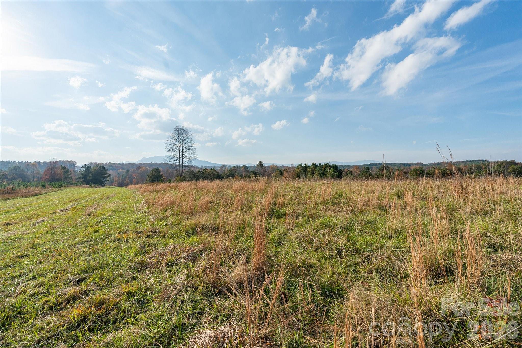 1888 Pea Ridge Road Property Photo 13
