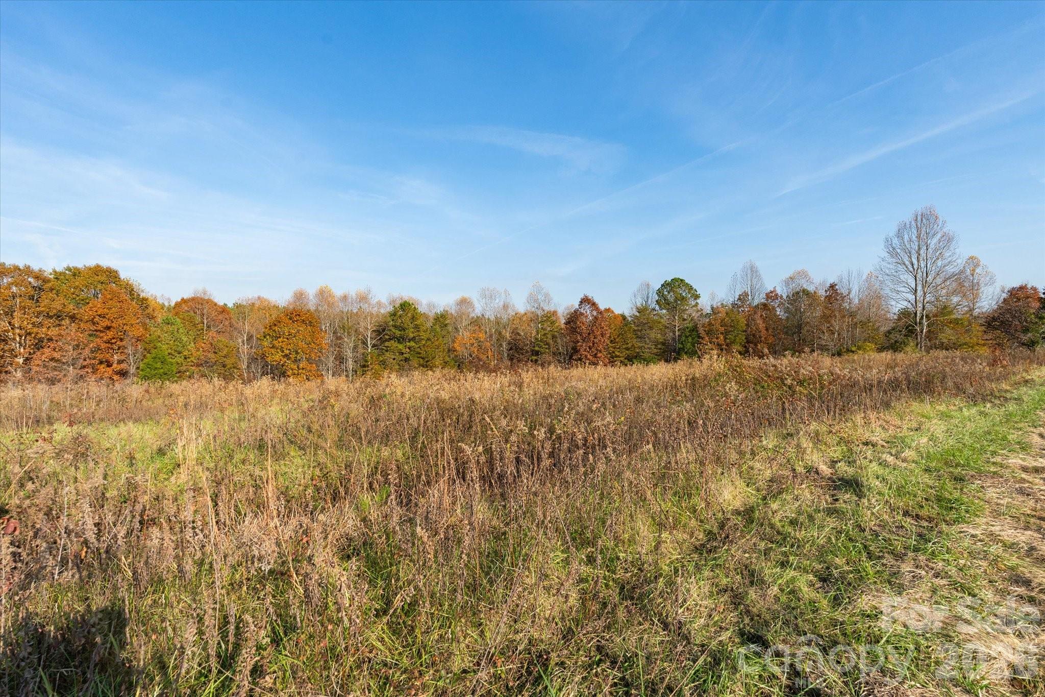 1888 Pea Ridge Road Property Photo 14