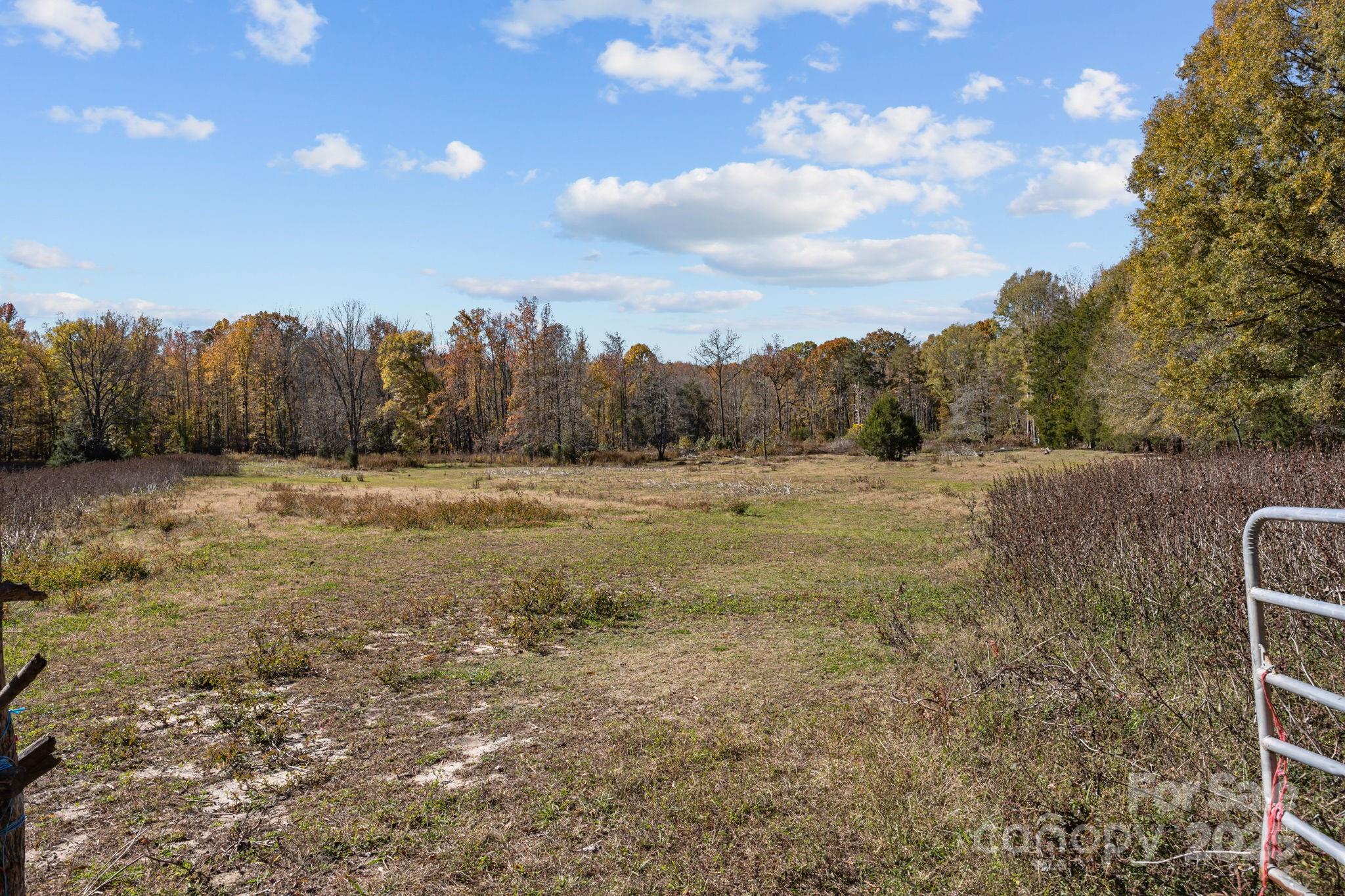 3178 Foxford Drive Property Photo 37
