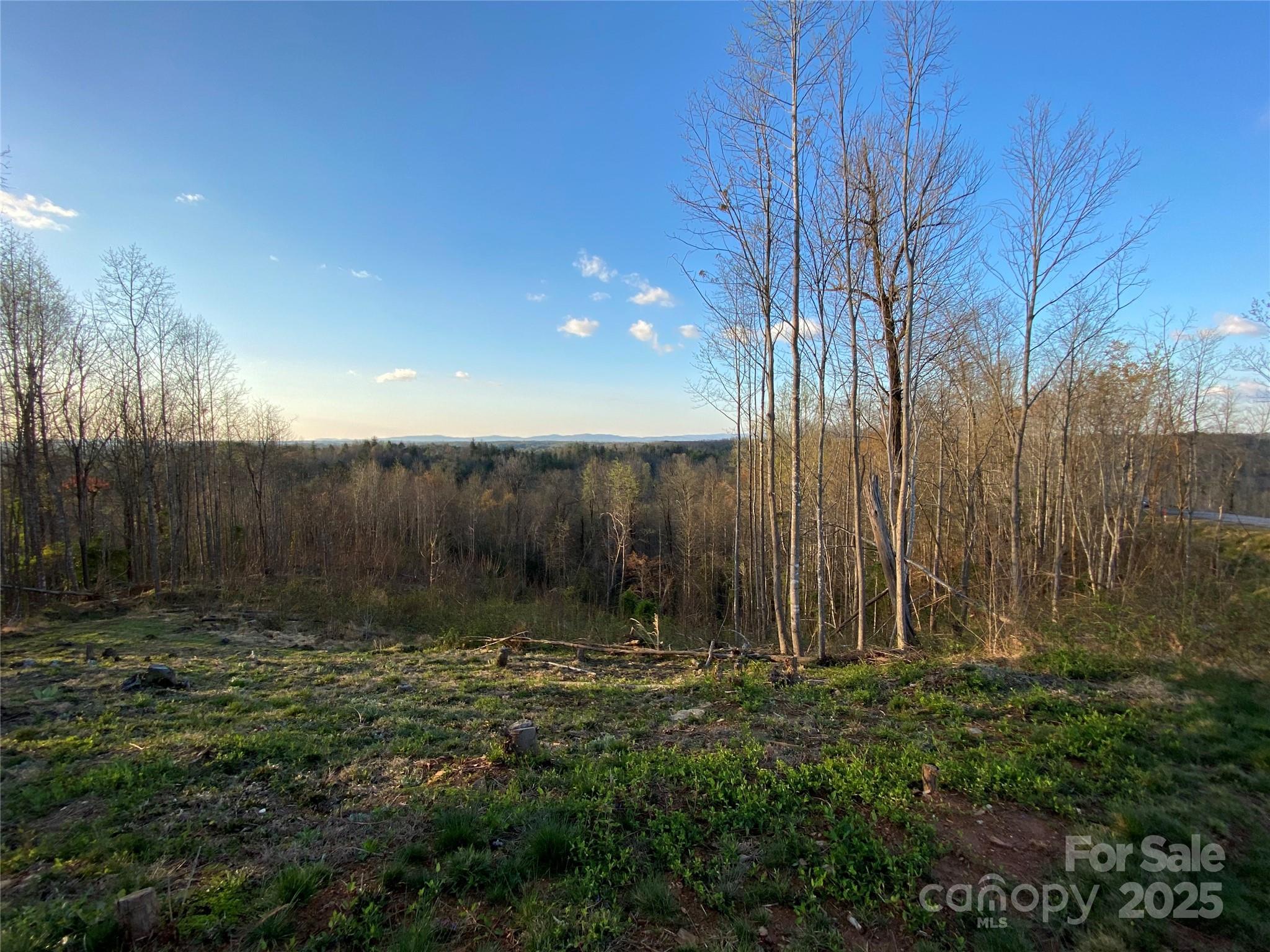 1030 River Club Ridge Property Photo 4